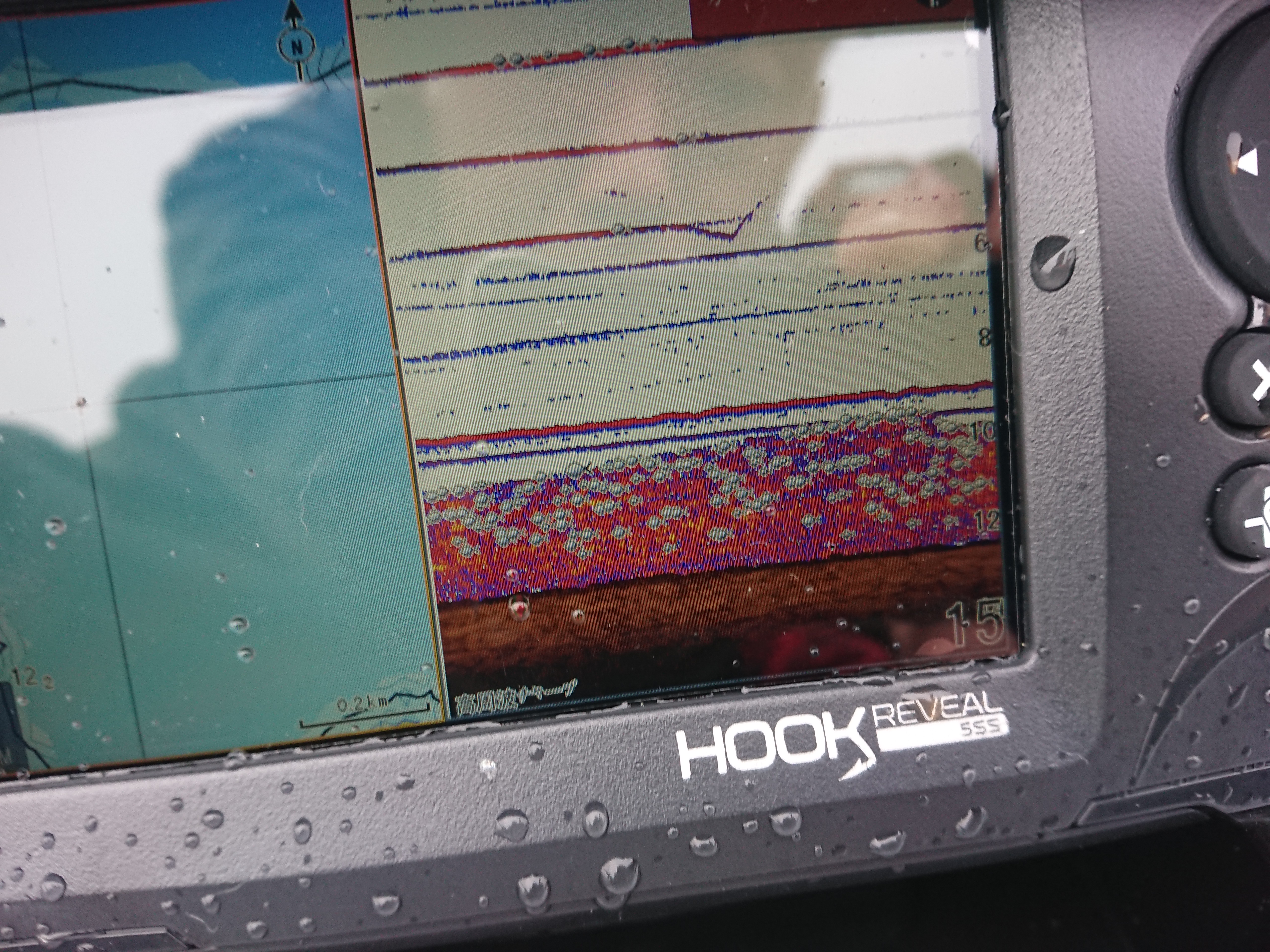 250913　芦ノ湖ワカサギ　釣行　15分おきに入る反応を拾っていく