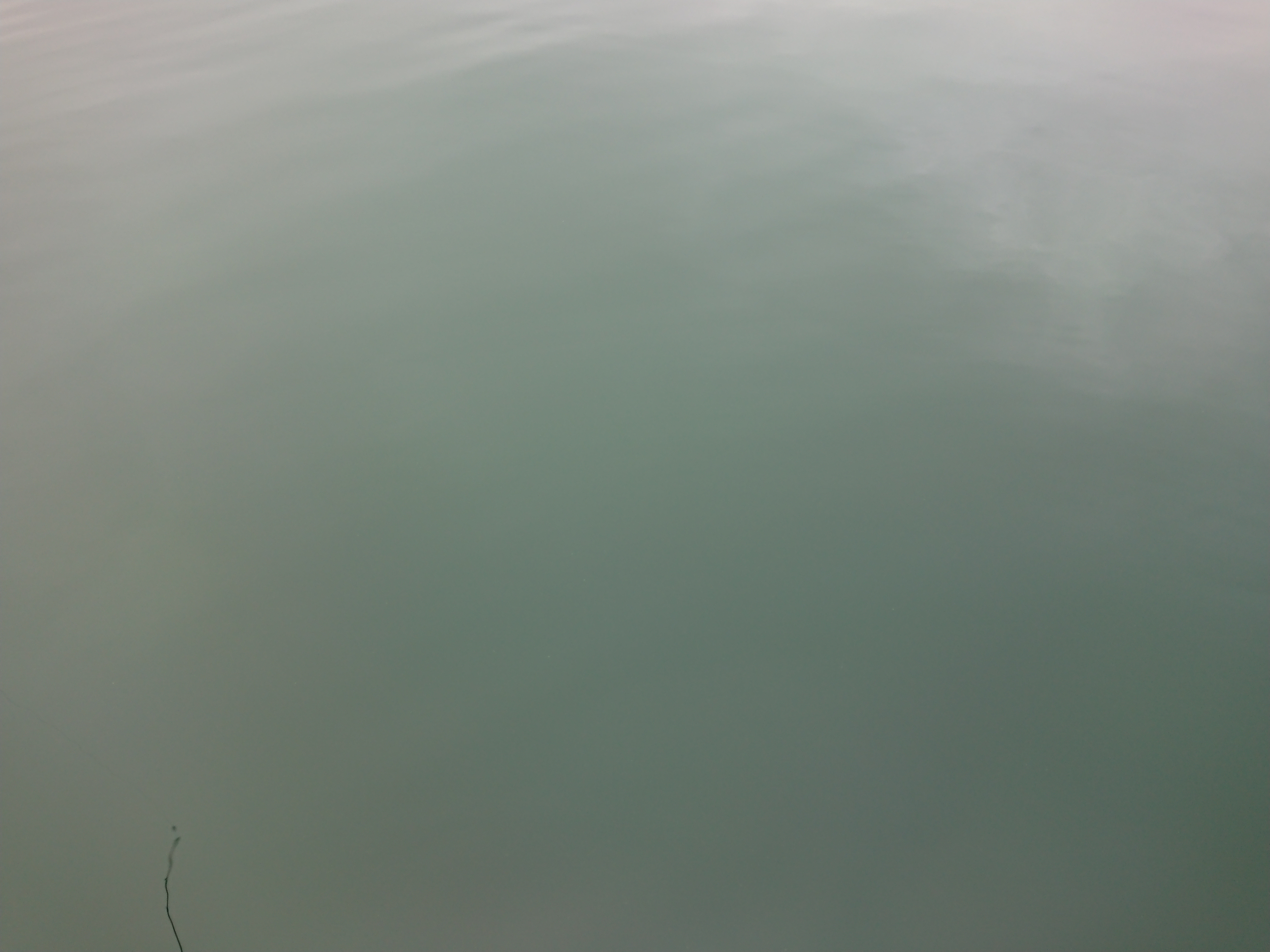 250913　芦ノ湖ワカサギ　釣行　水の色