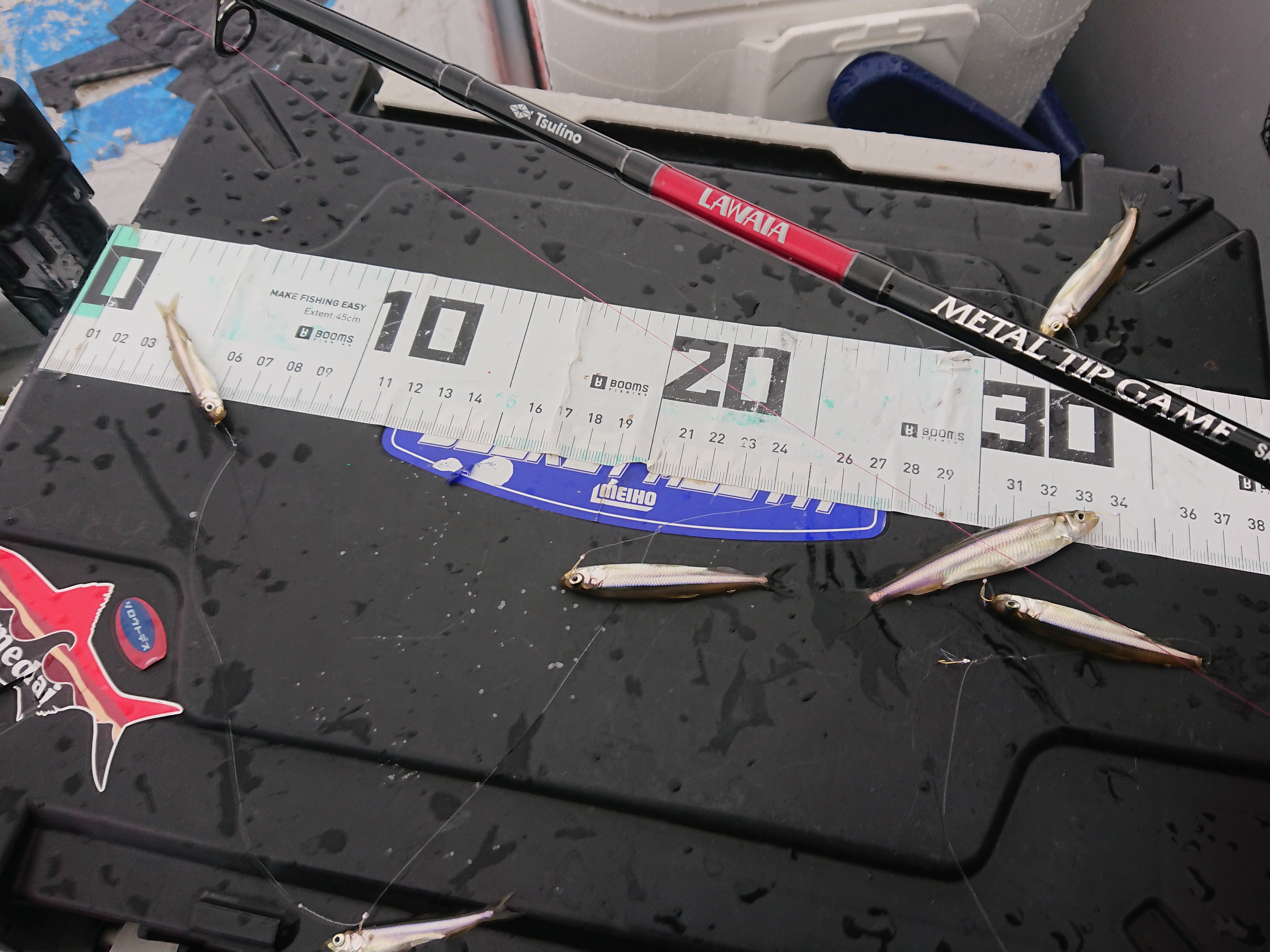 250913　芦ノ湖ワカサギ　釣行　一荷