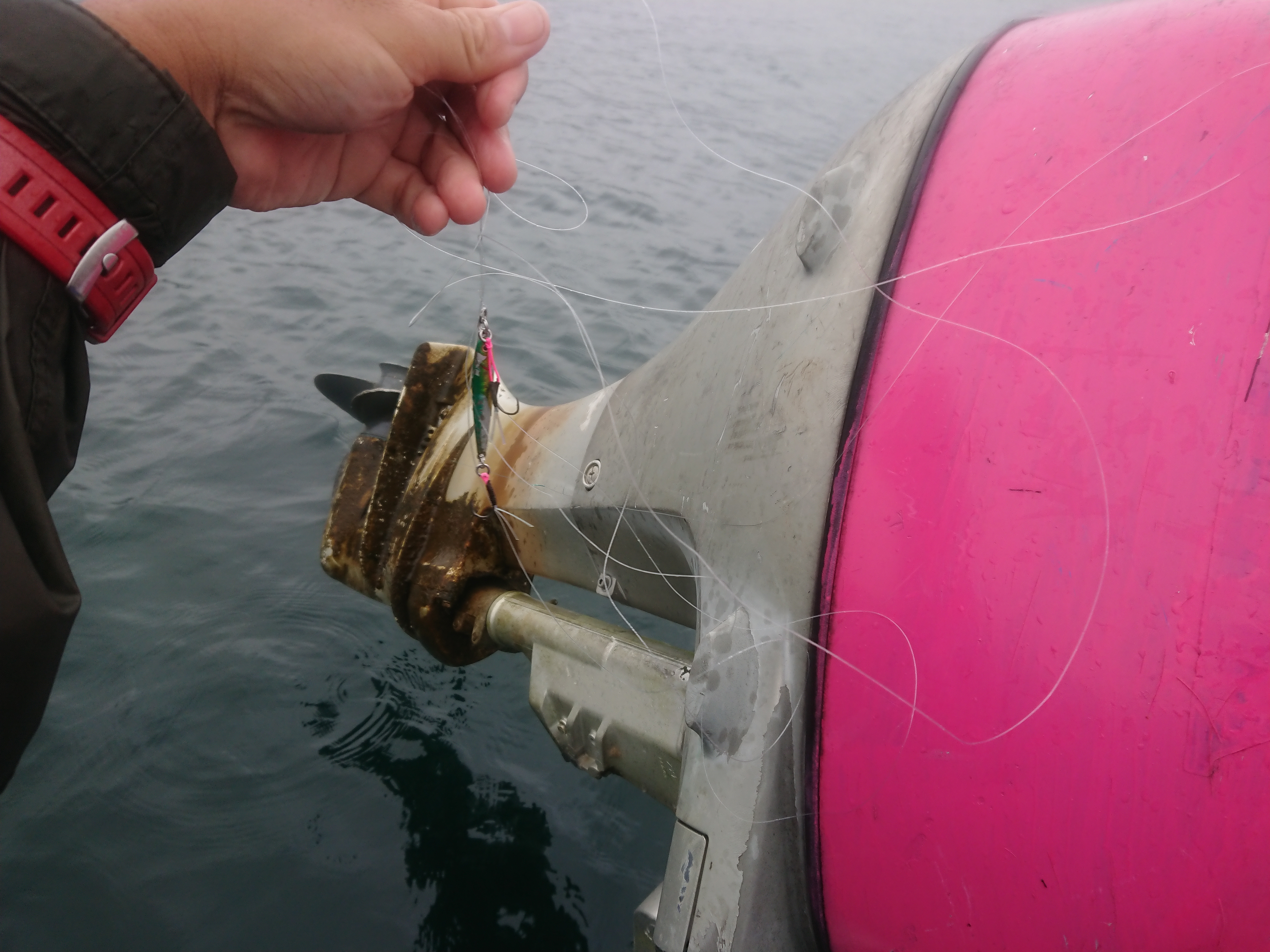 250913　芦ノ湖ワカサギ　釣行　ペラに絡まった