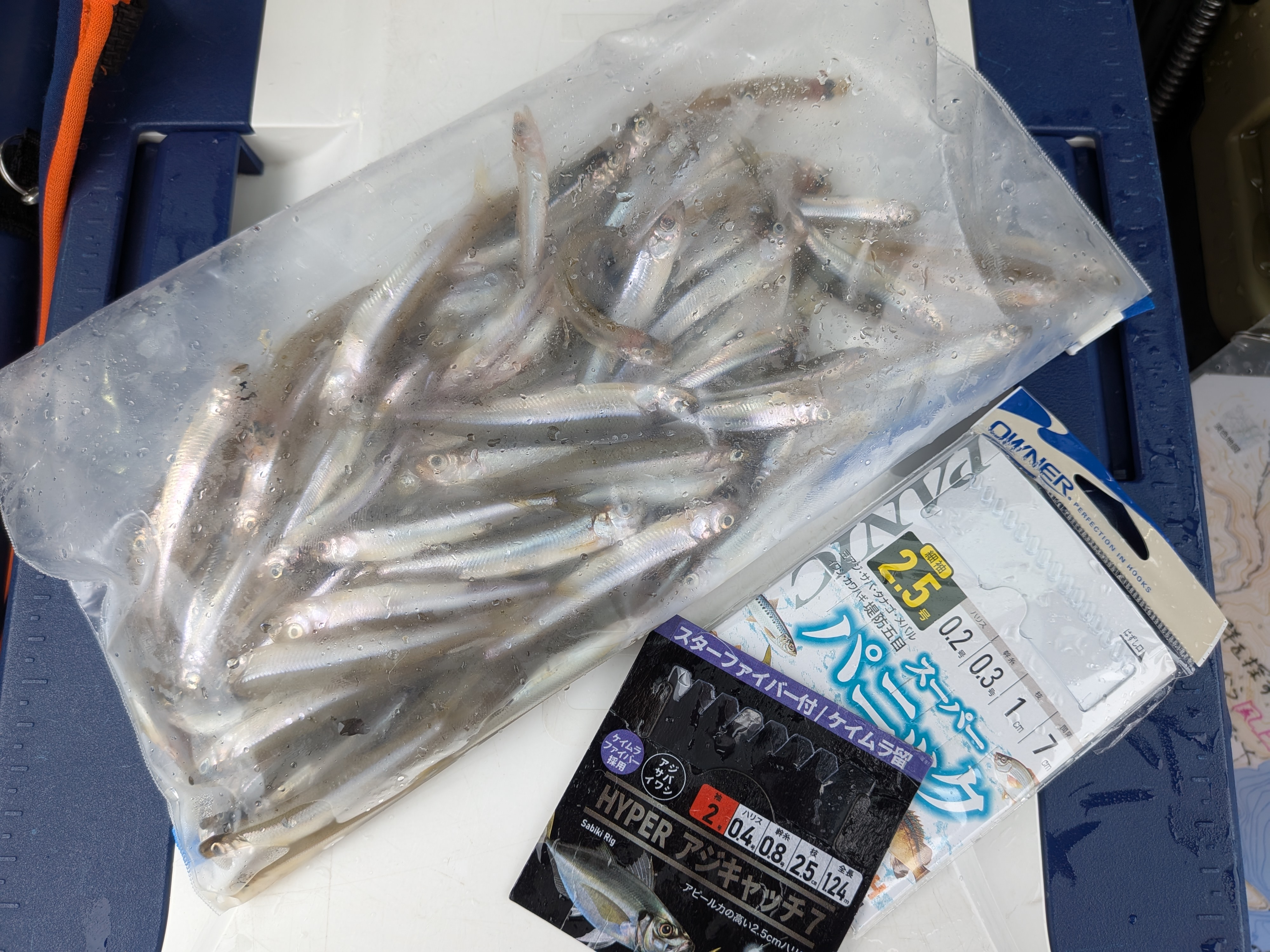 250913　芦ノ湖ワカサギ　釣行　最終釣果