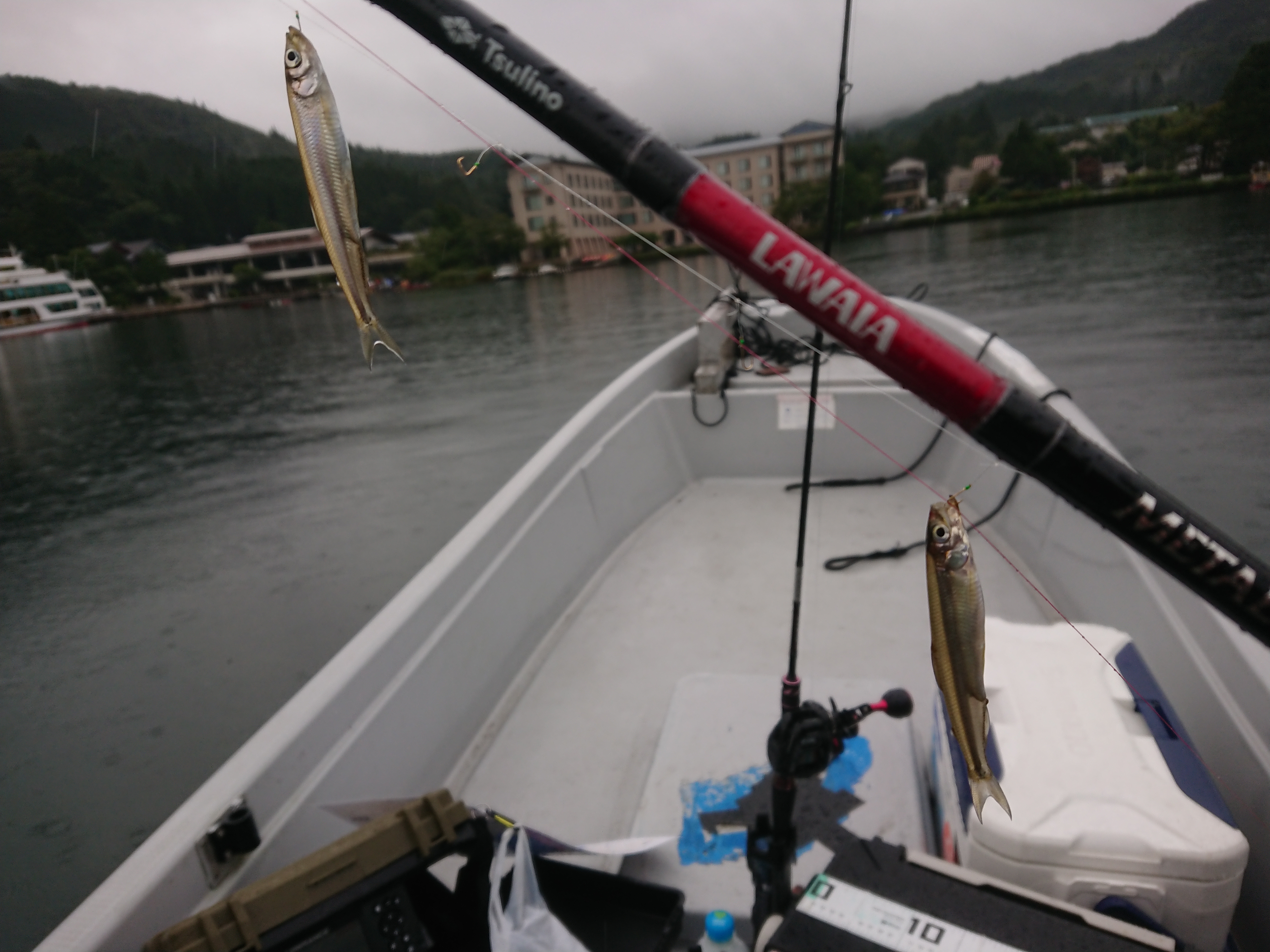 250913　芦ノ湖ワカサギ　釣行　一投目からヒット