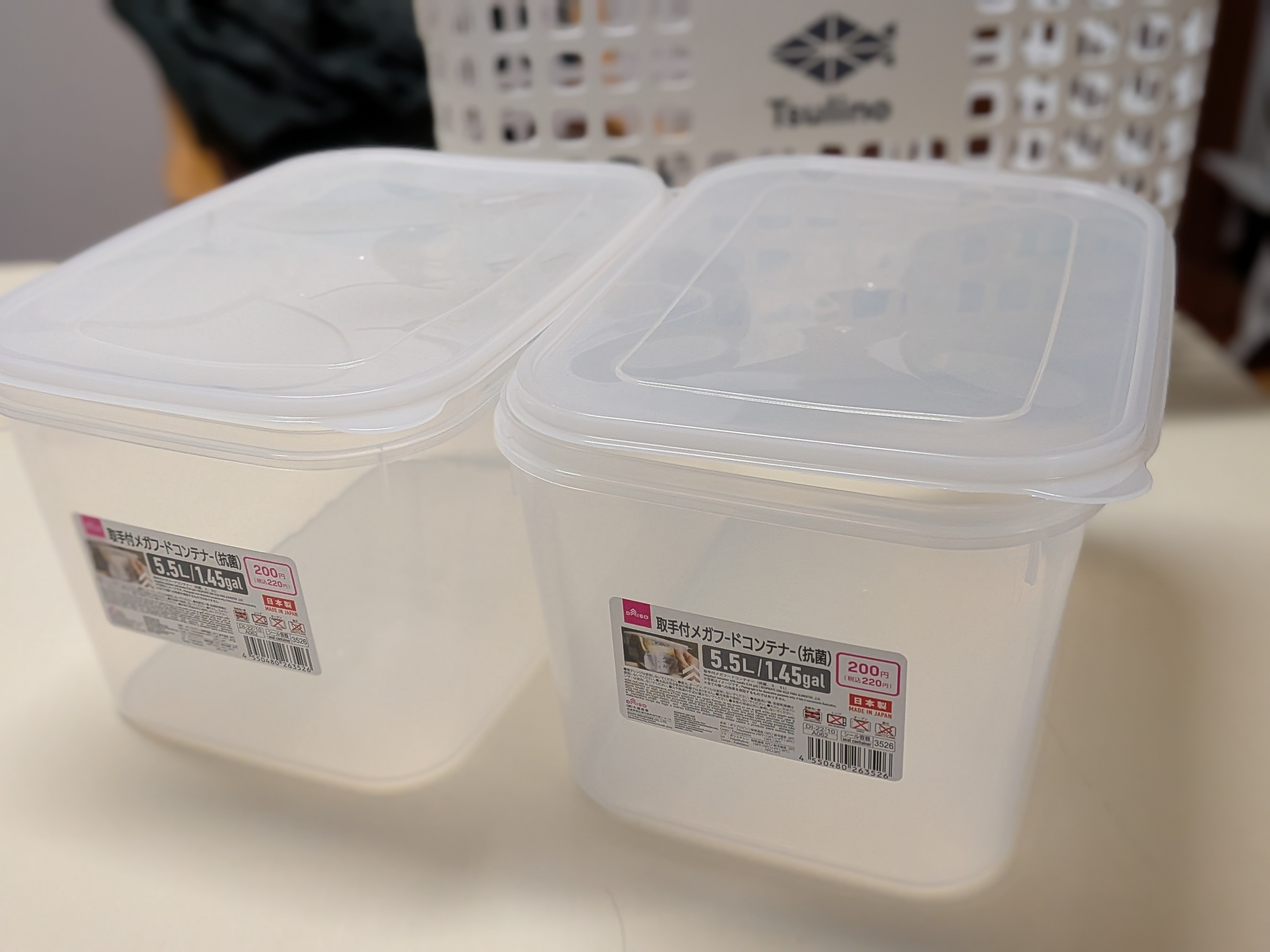 250913　芦ノ湖ワカサギ　準備　ワカサギライブウェル作成