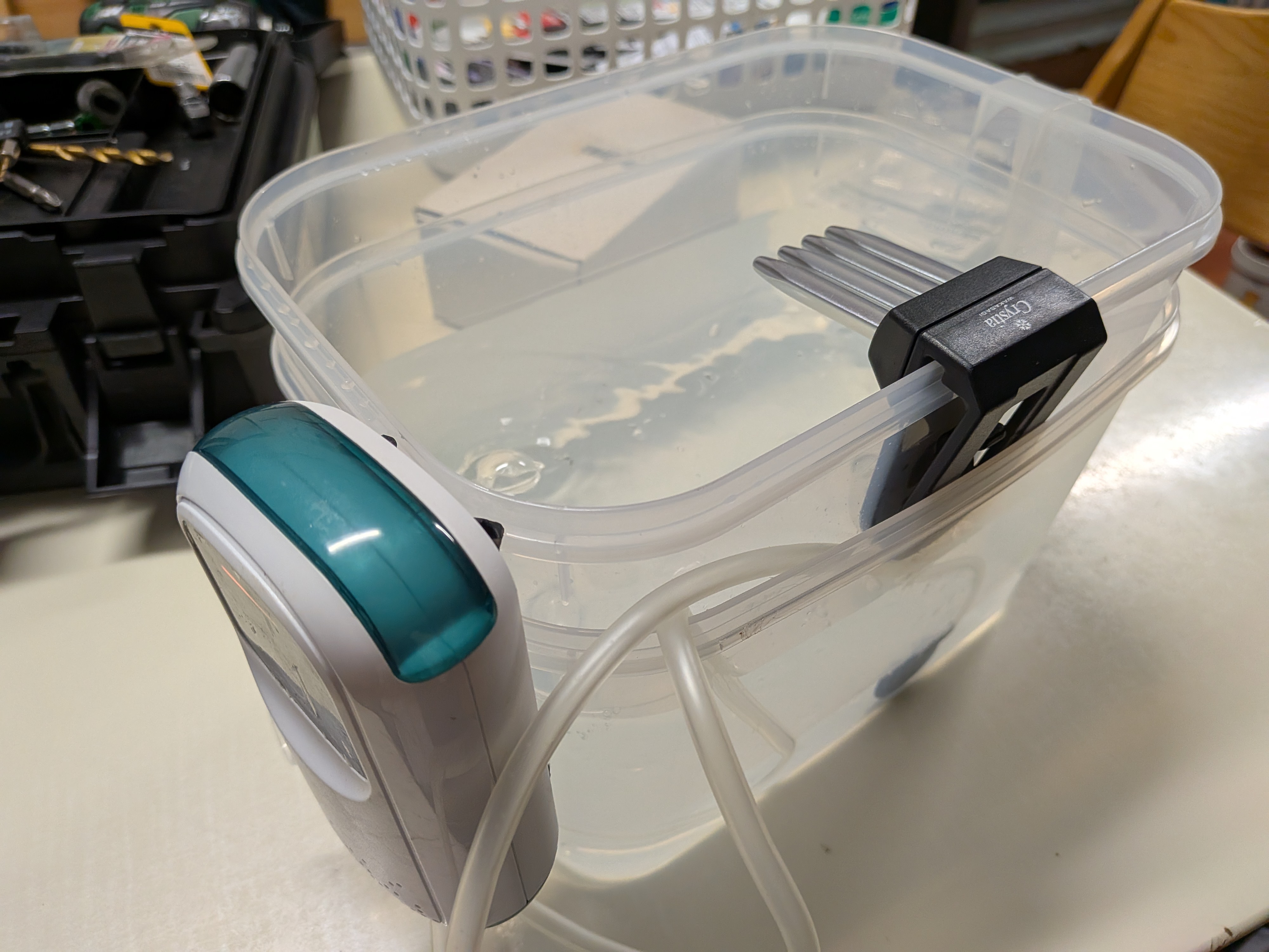 250913　芦ノ湖ワカサギ　準備　ワカサギライブウェル完成