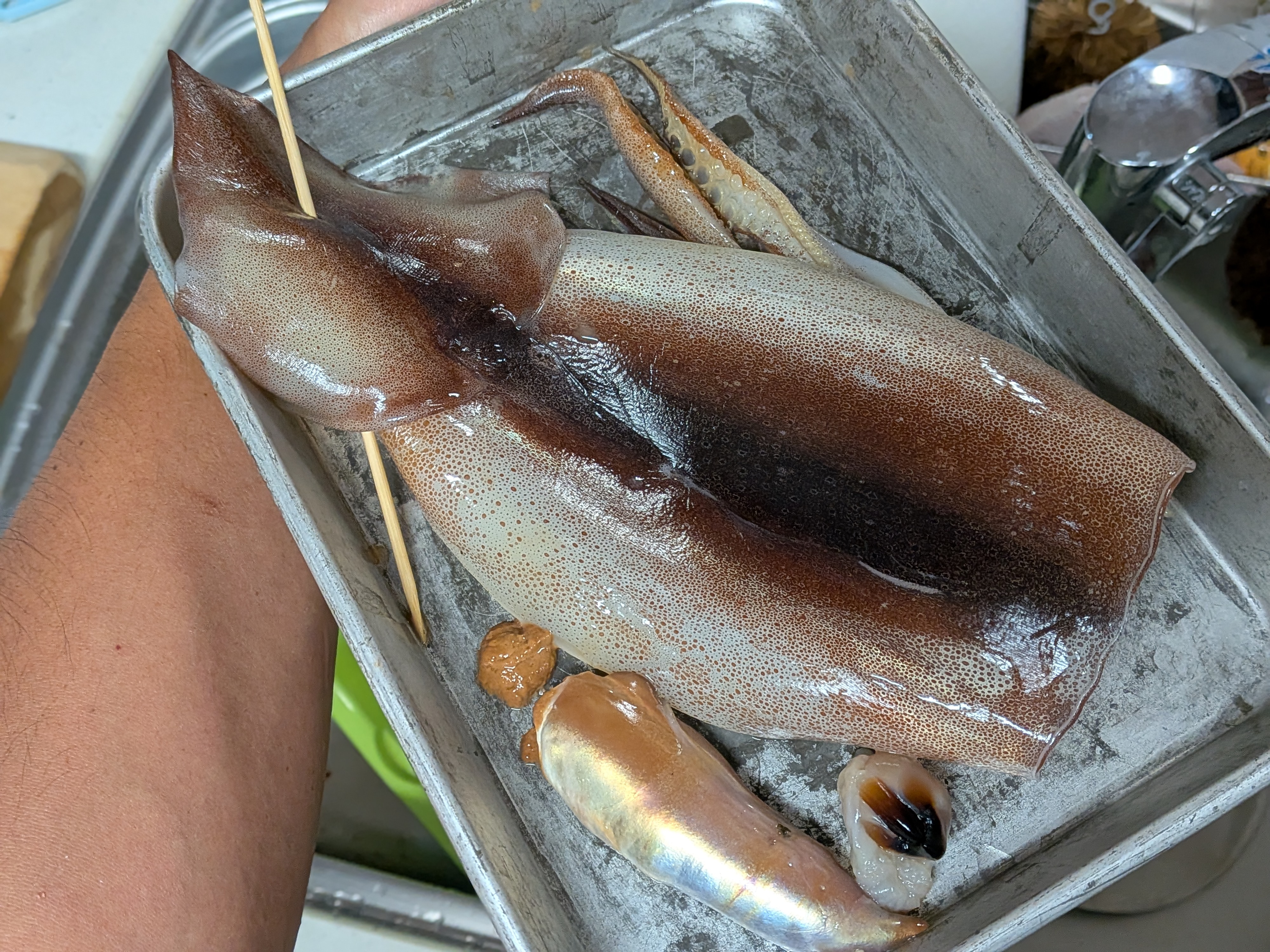 25年8月31日 御前崎沖ジギング釣行 釣果 スルメイカ