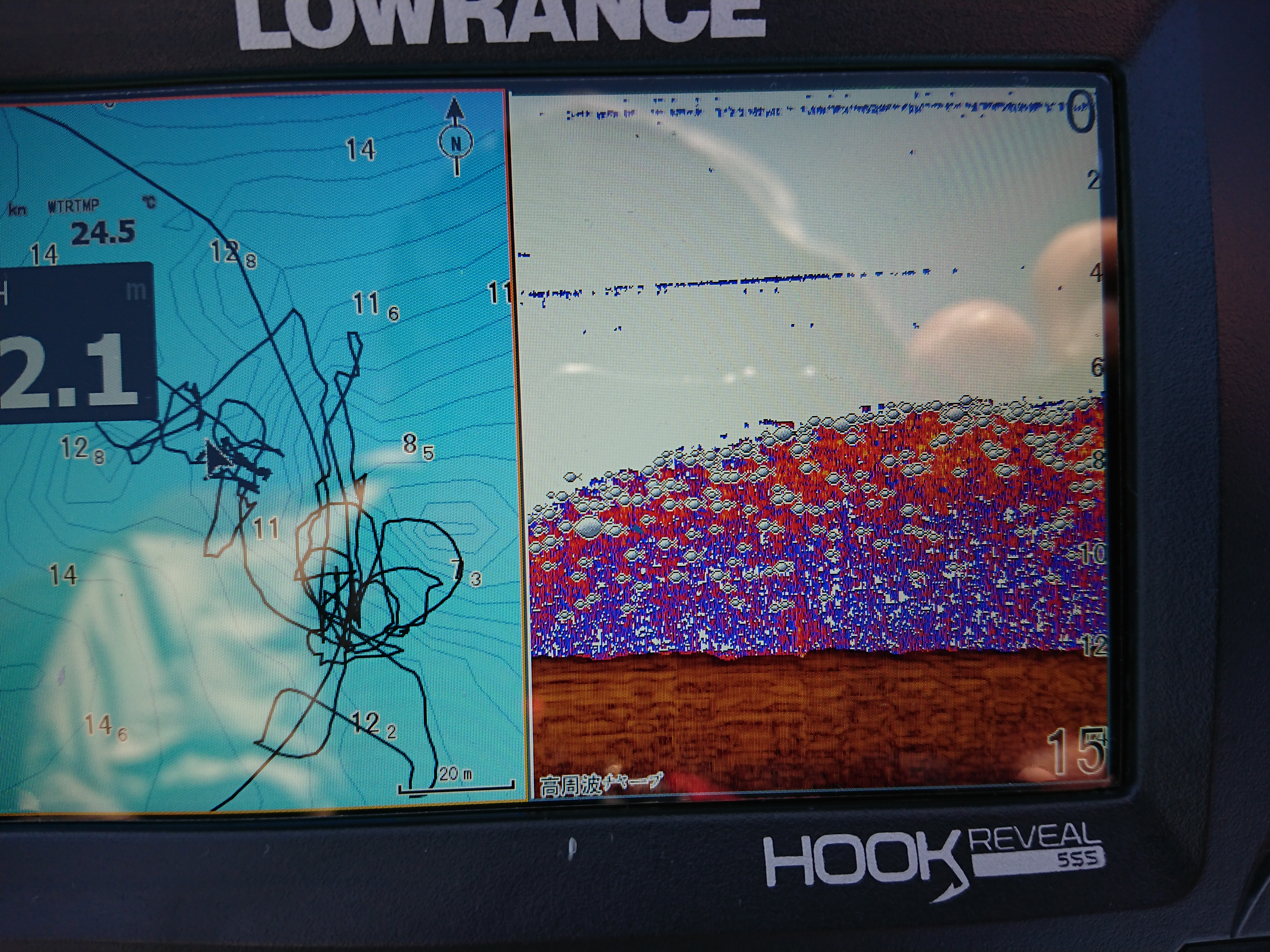 250921　芦ノ湖ワカサギ2　興奮する反応