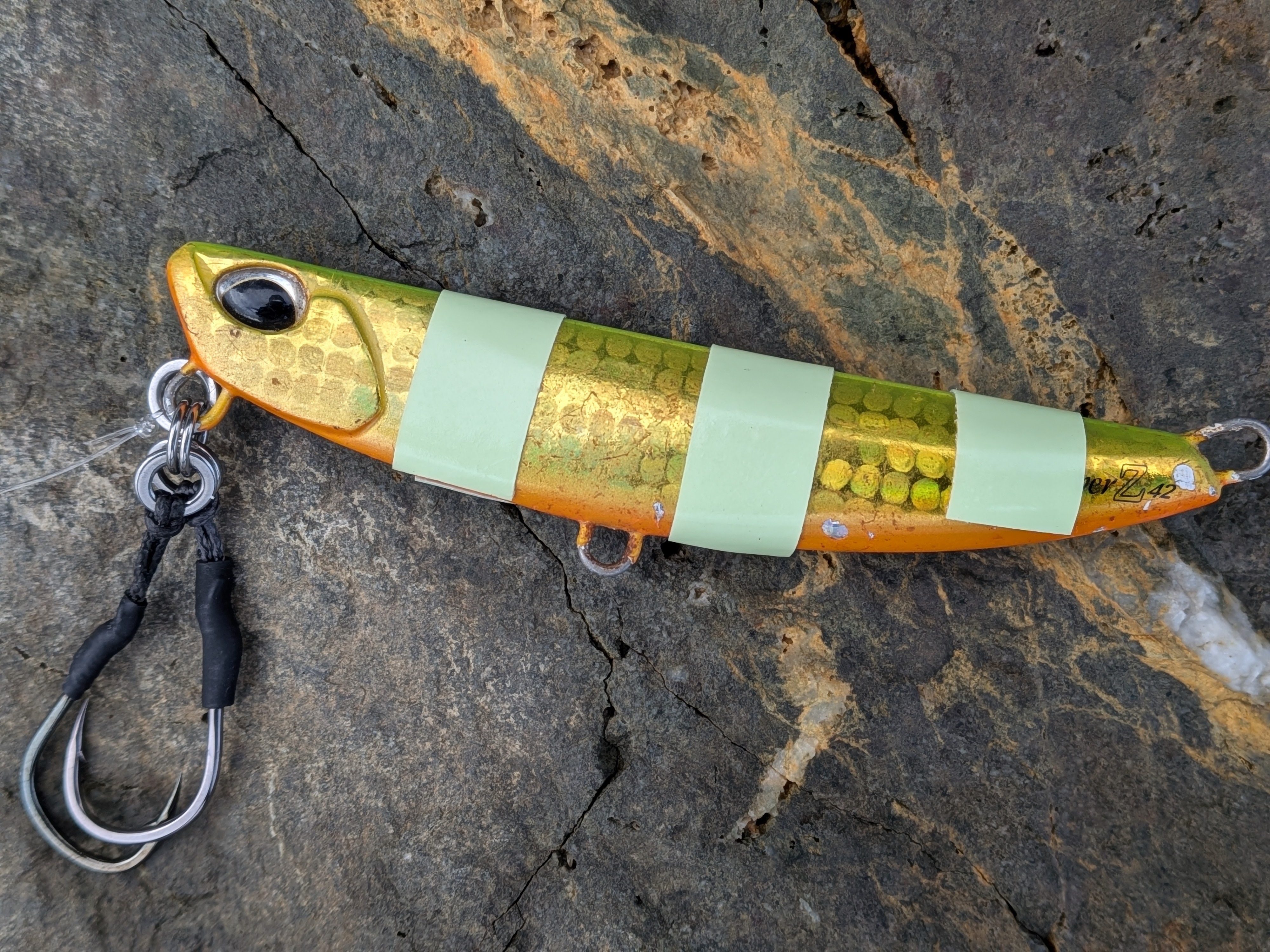 251005 本栖湖レイクトラウト大会 フリッパー