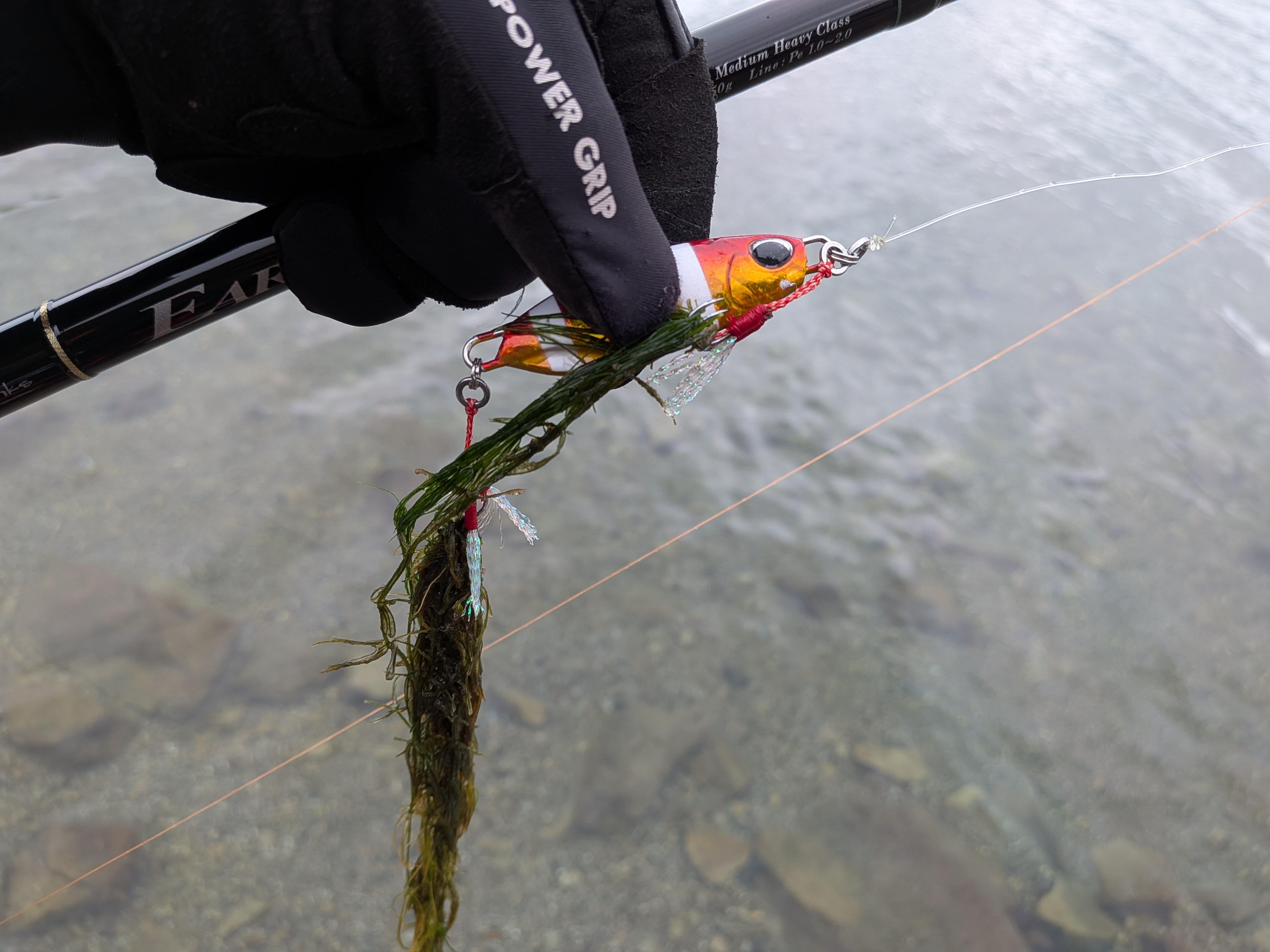 251005 本栖湖レイクトラウト大会 海藻が多い