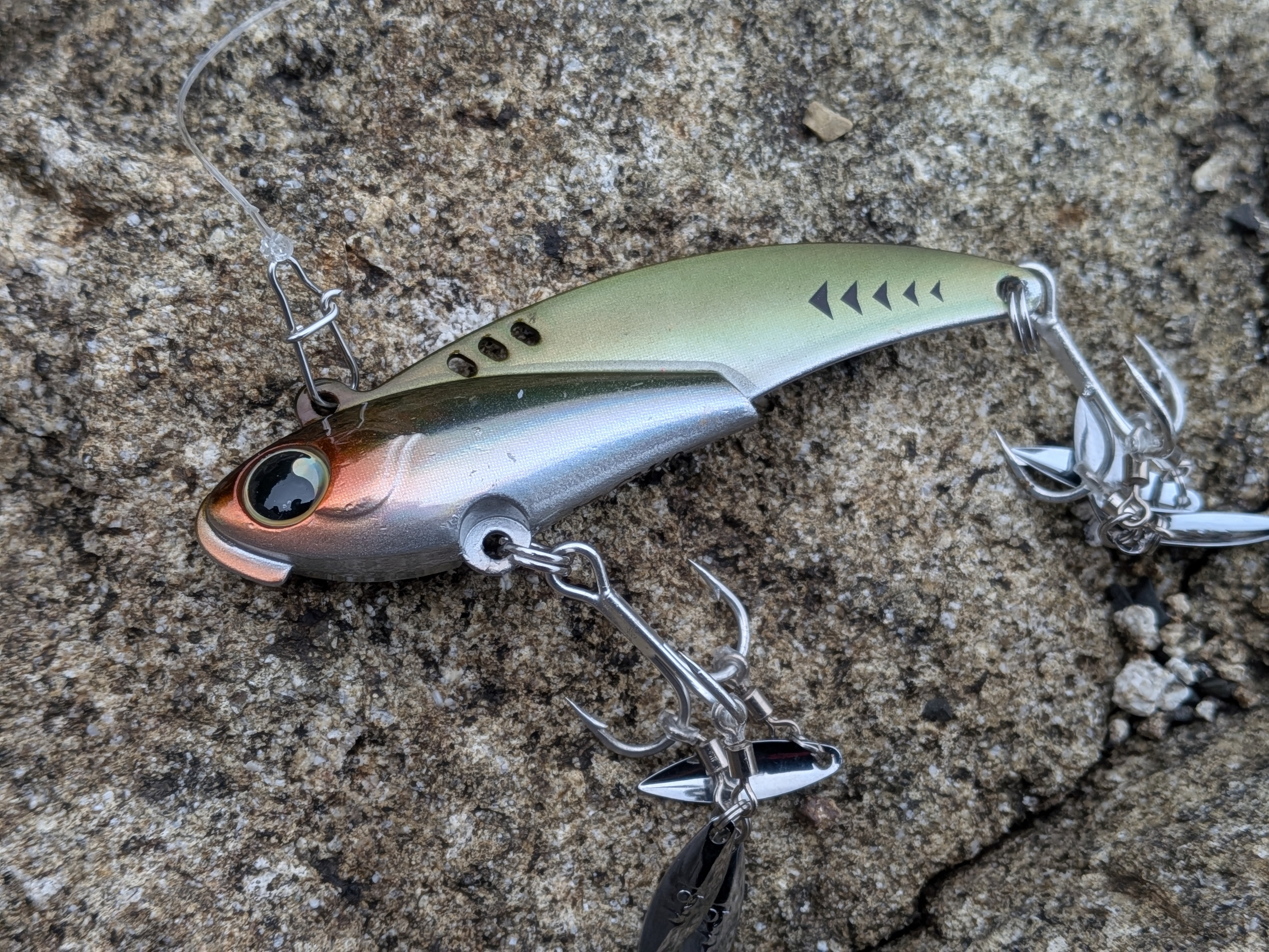 251005 本栖湖レイクトラウト大会 キャシーマージ―