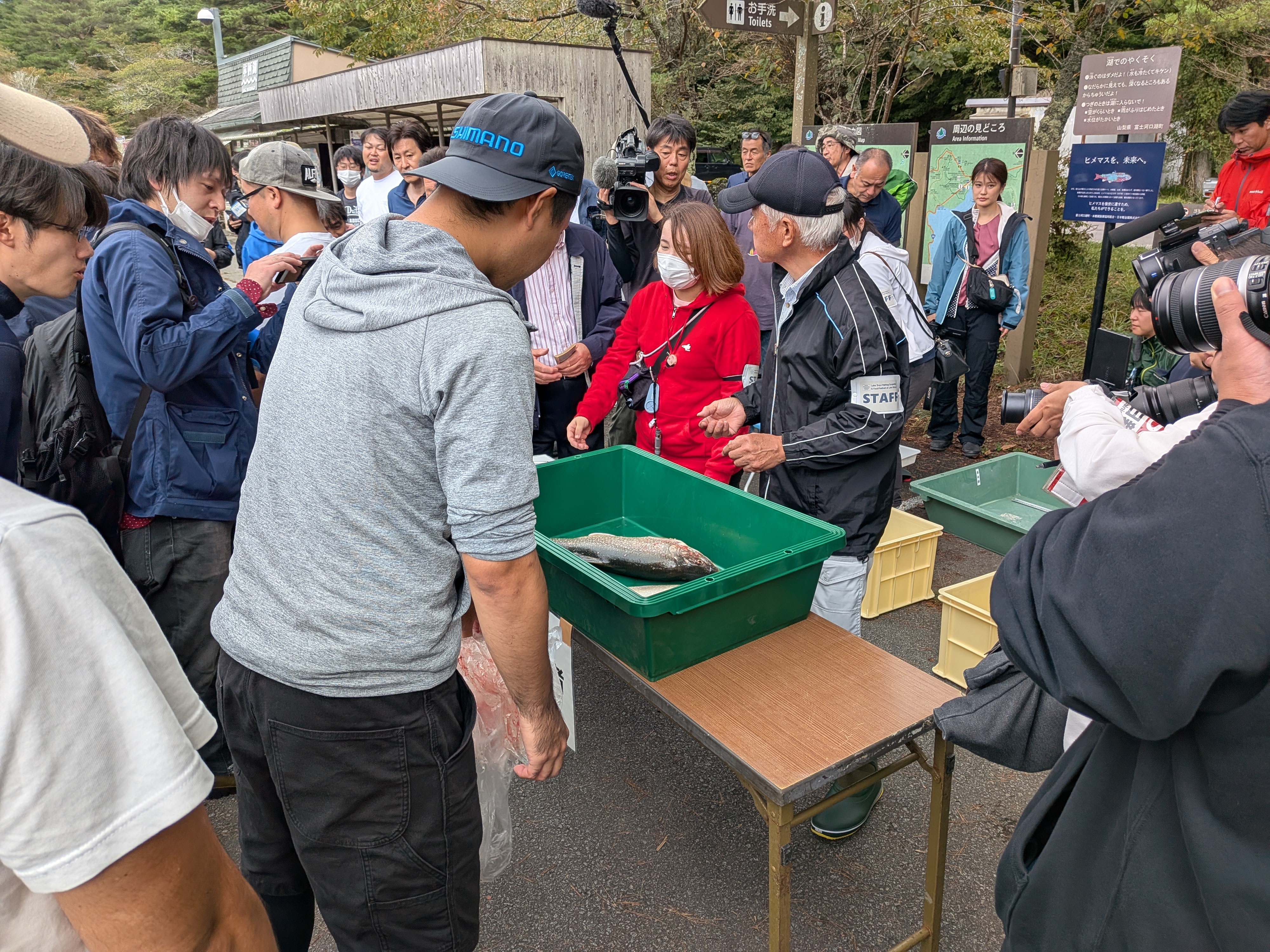 251005 本栖湖レイクトラウト大会 検量風景
