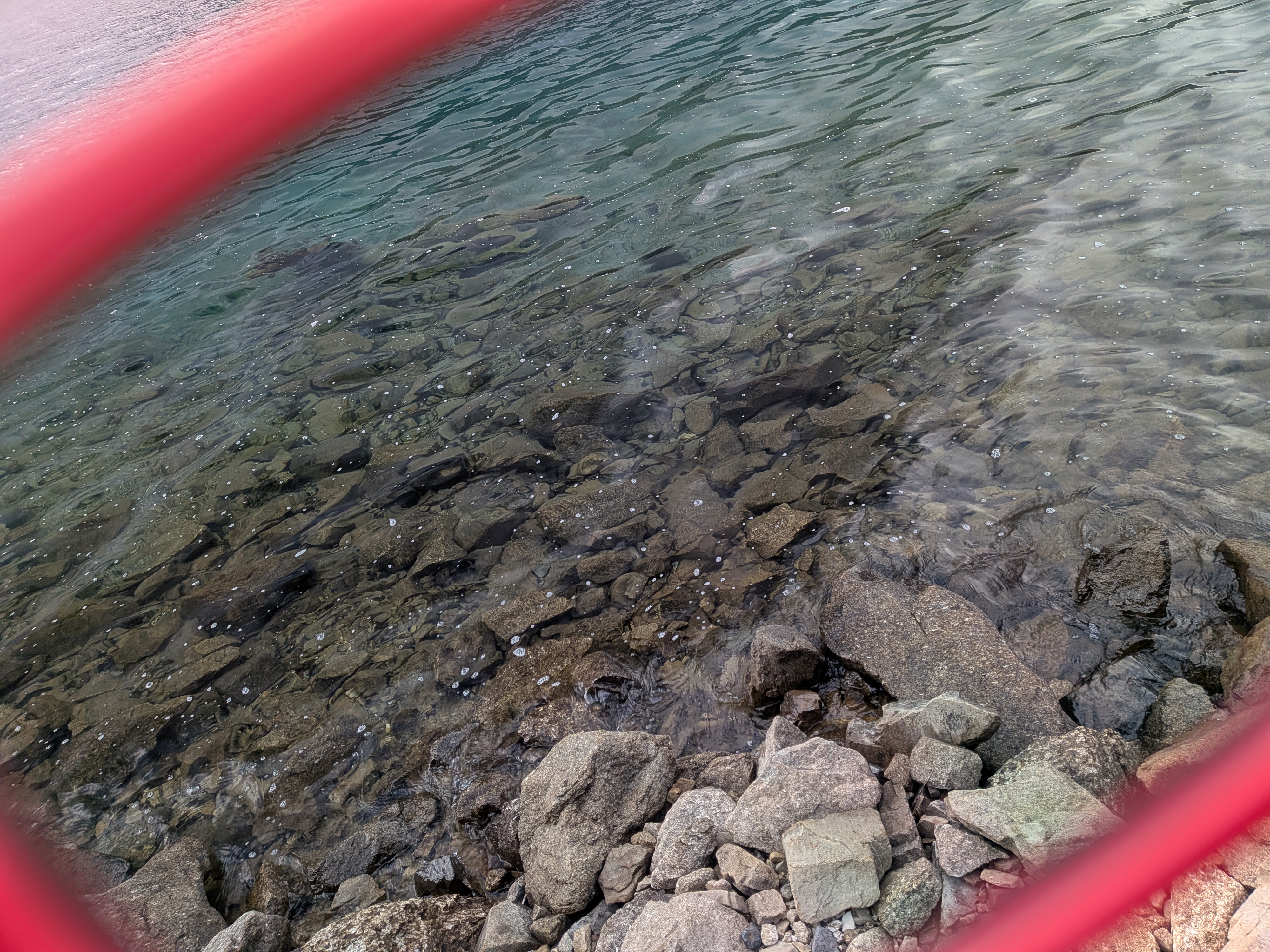 251005 本栖湖レイクトラウト大会 水面はクリア