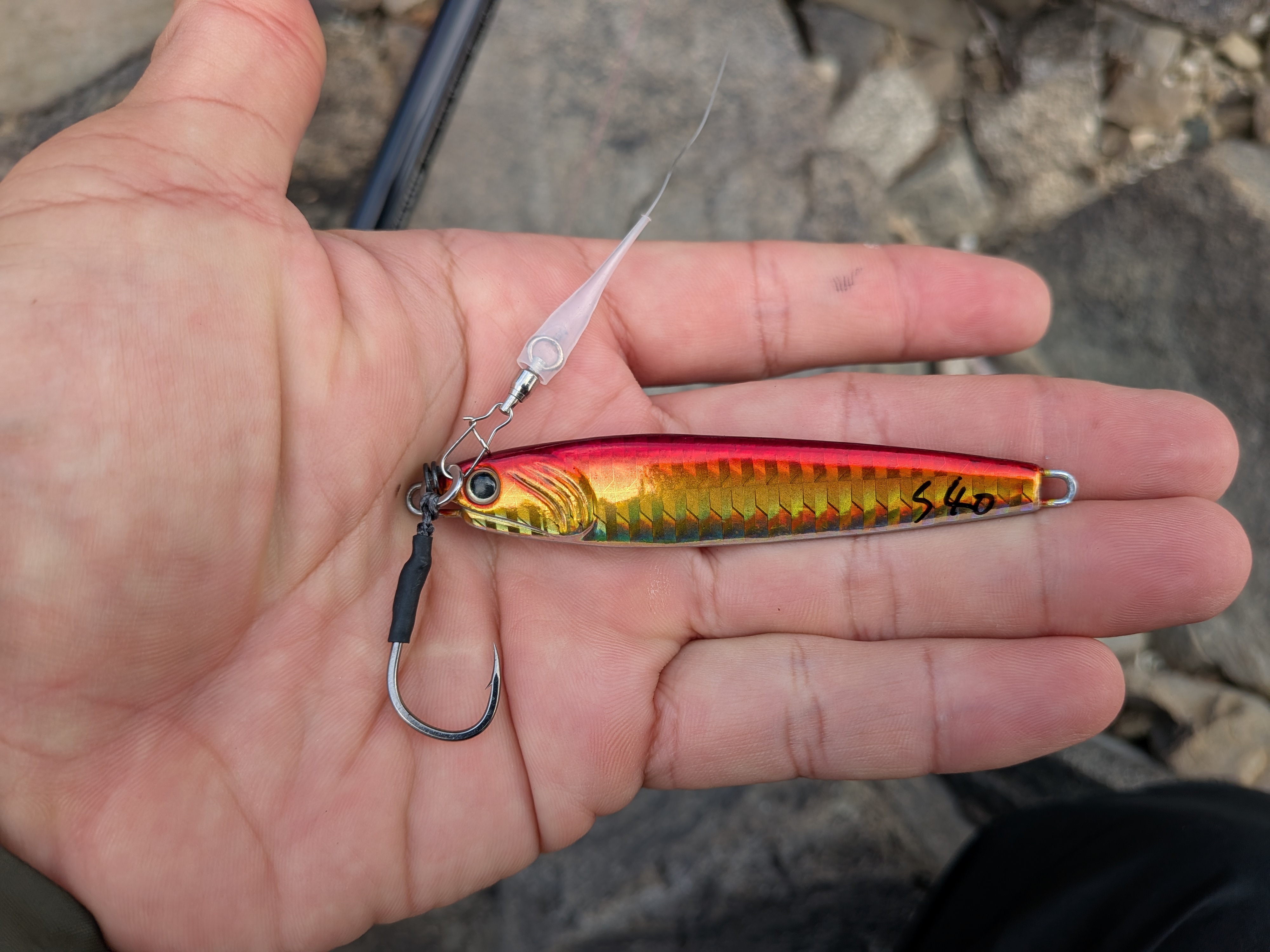 251005 本栖湖レイクトラウト大会 プラクティスで使ったルアー