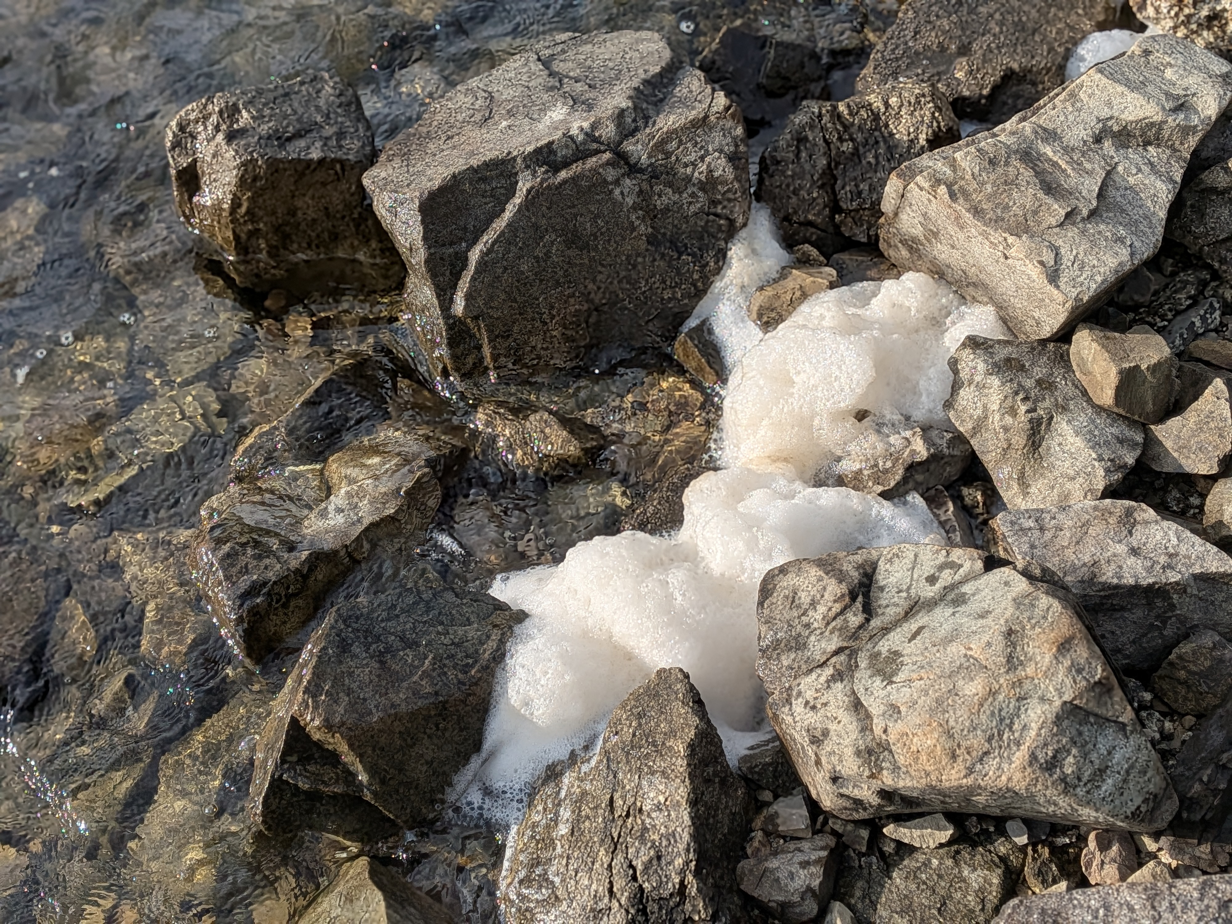 251005 本栖湖レイクトラウト大会 プラクティスでは泡が見られた