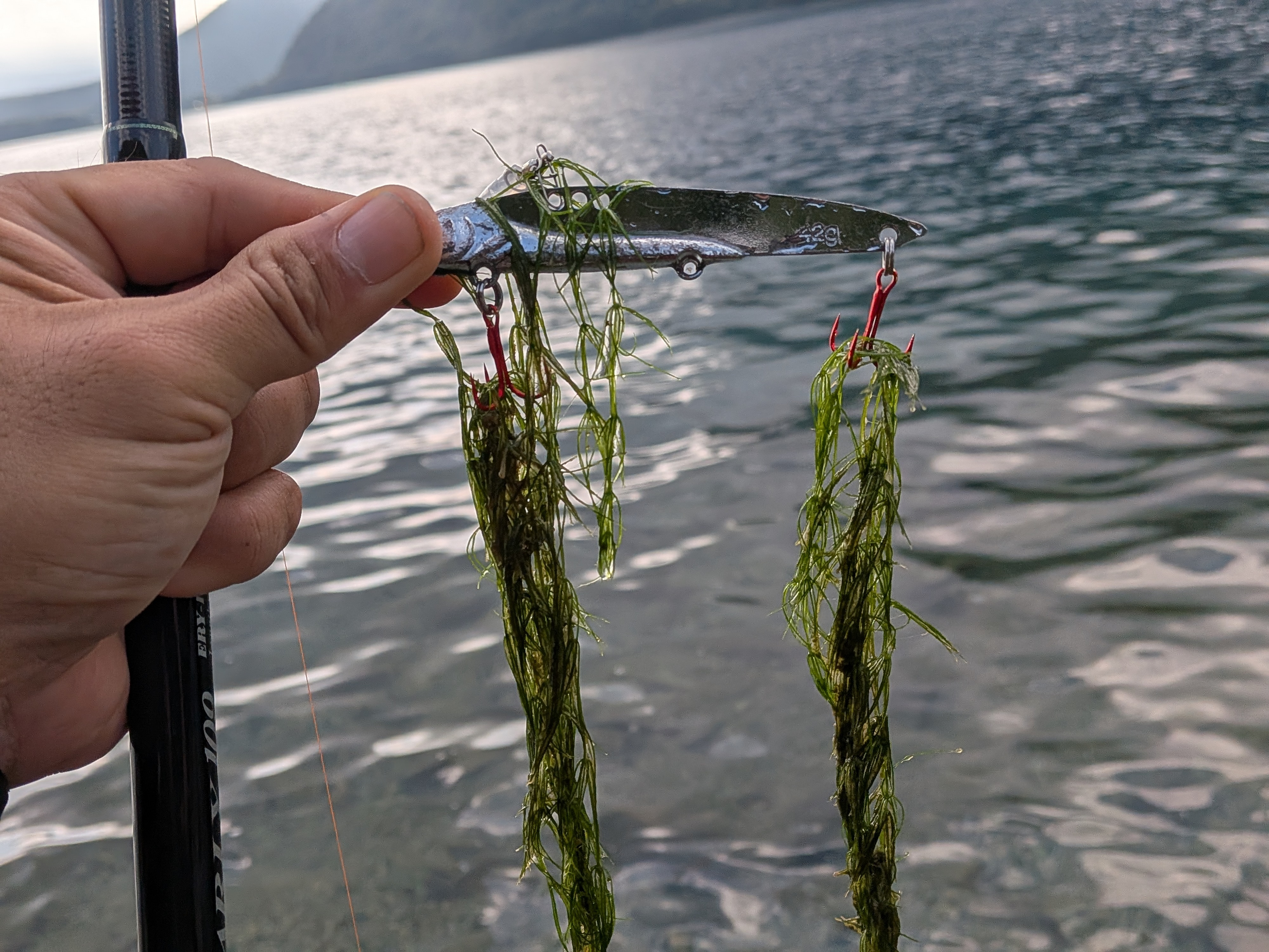 251005 本栖湖レイクトラウト大会 プラクティスでも海草酷い