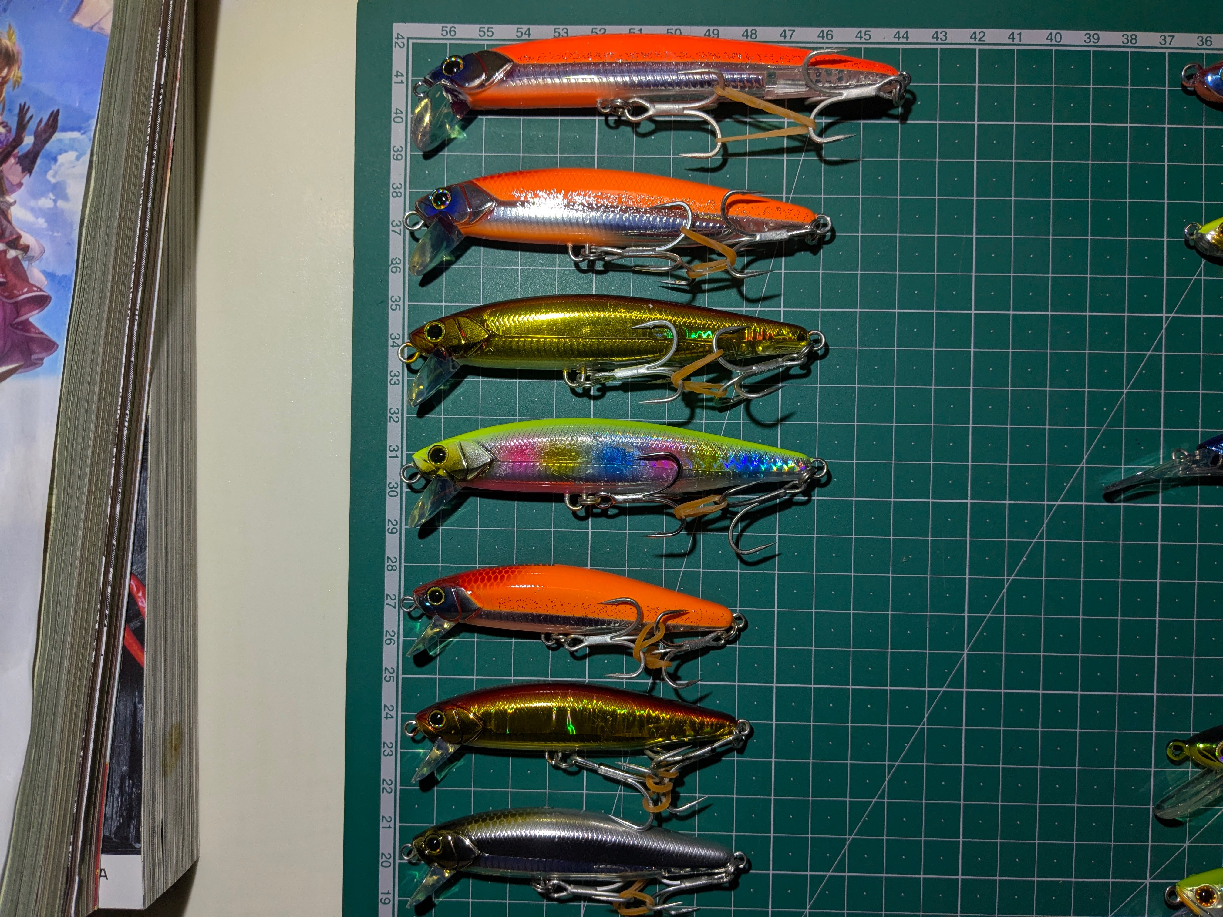 2025年1月11日　浜名湖沖ブリトップ　アンチョピード