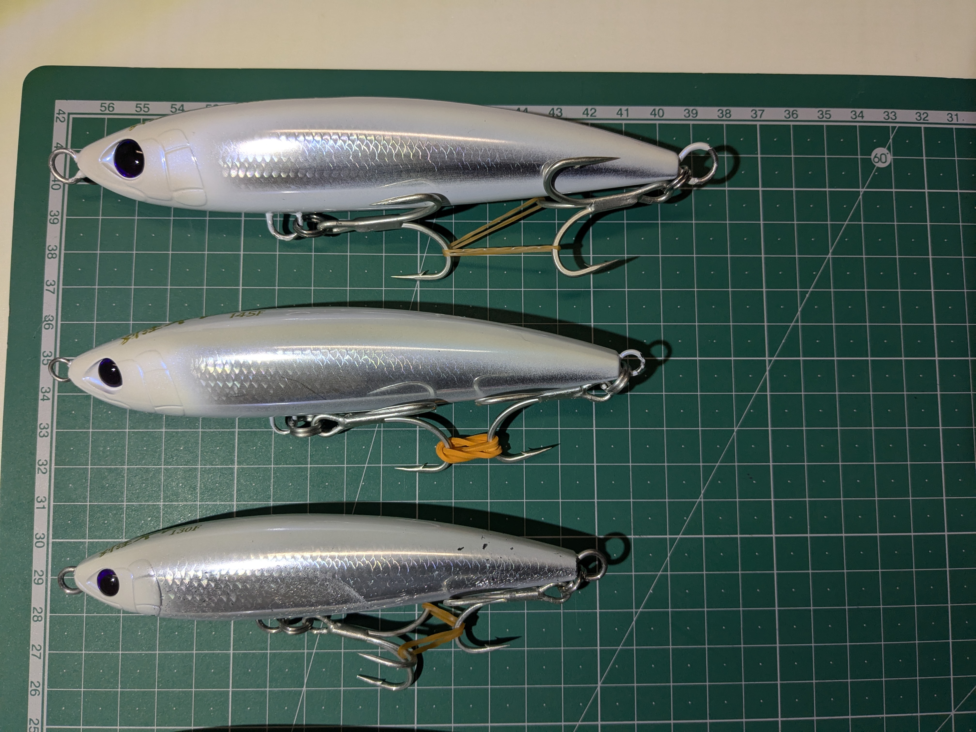 2025年1月11日　浜名湖沖ブリトップ　別注平政