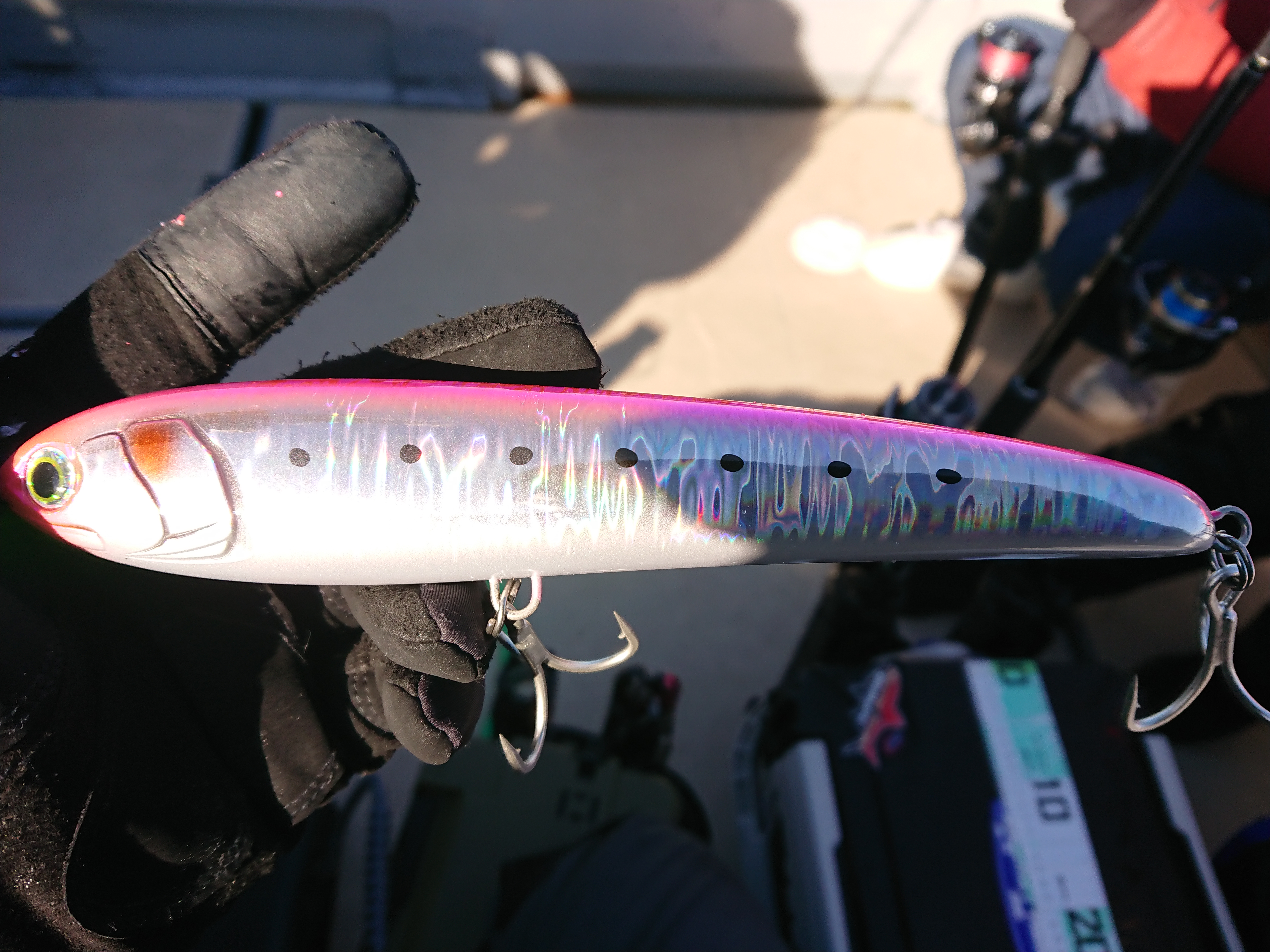 2025年1月11日 浜名湖沖ブリトップ ラピード190