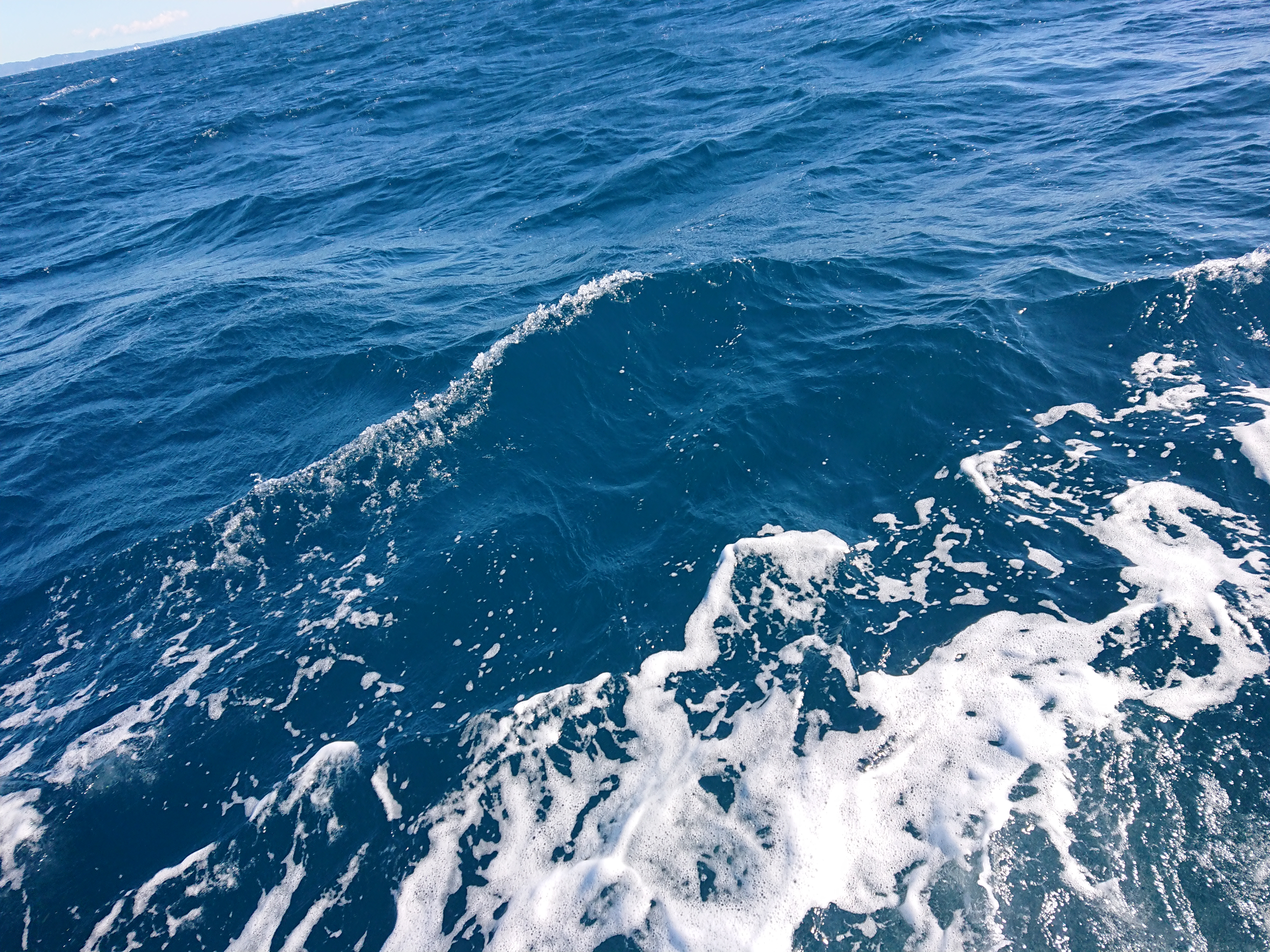 2025年1月11日 浜名湖沖ブリトップ 海況