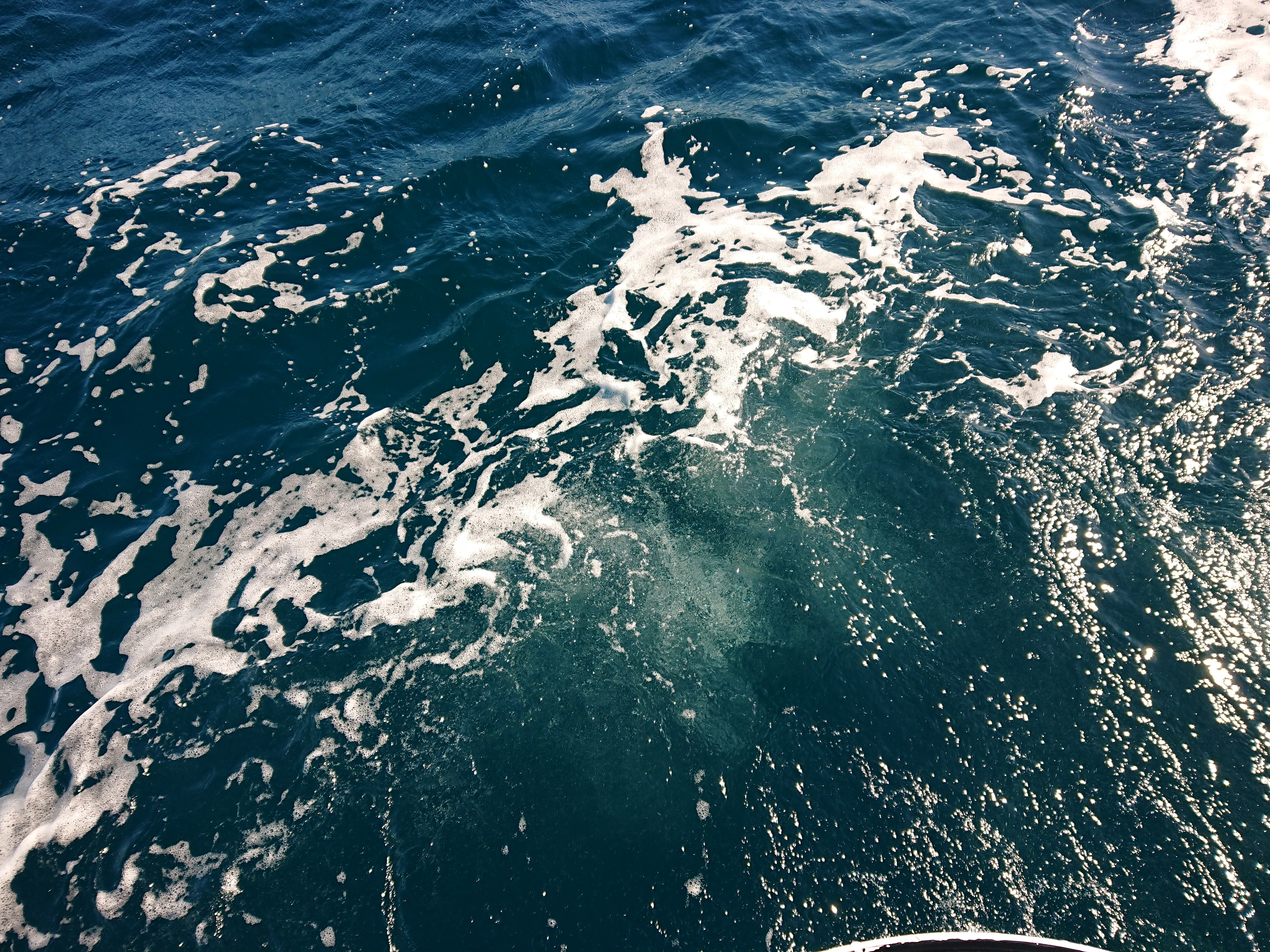 2025年1月11日 浜名湖沖ブリトップ 水色