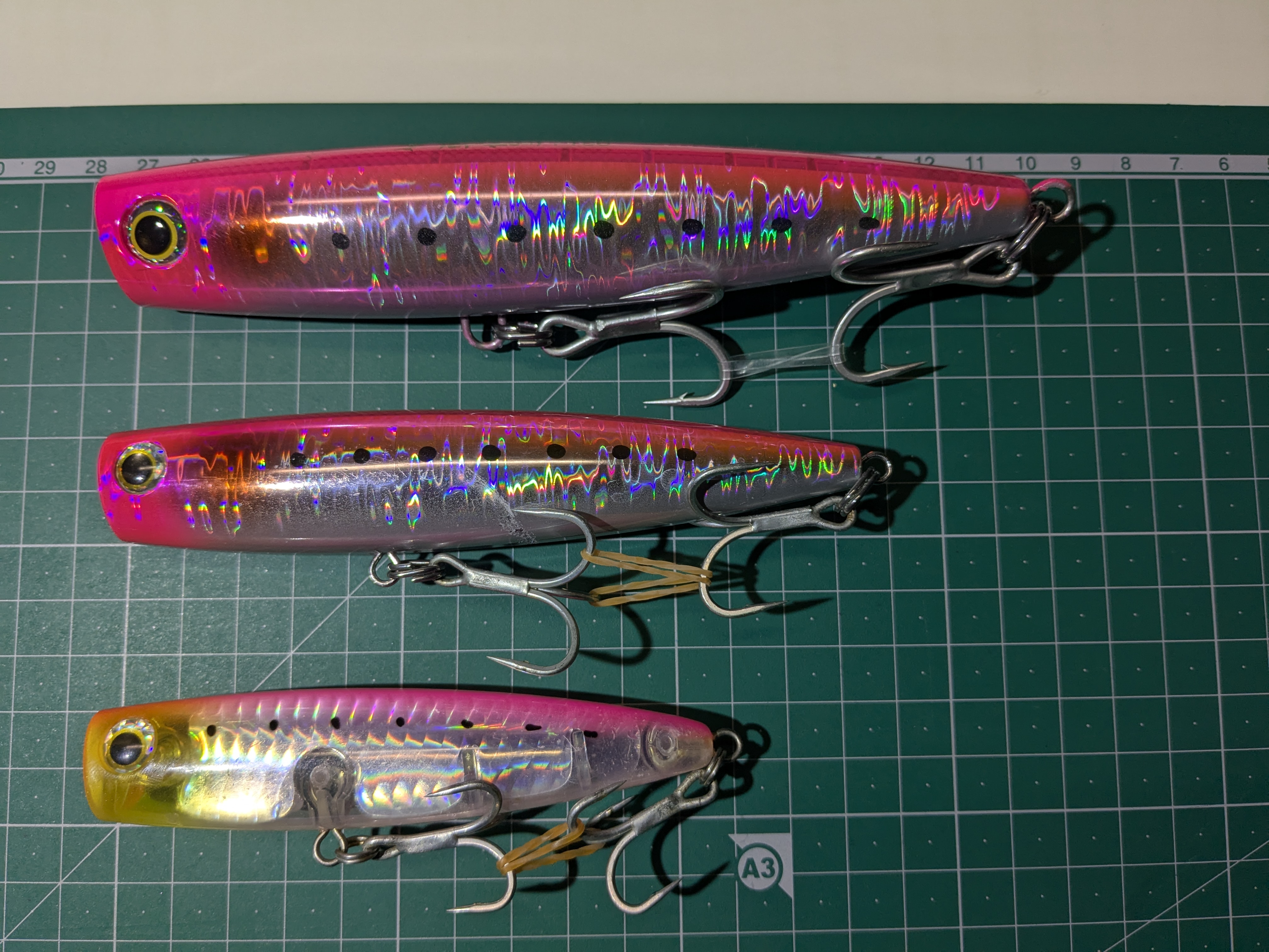 2025年1月11日　浜名湖沖ブリトップ　ポップクイーン