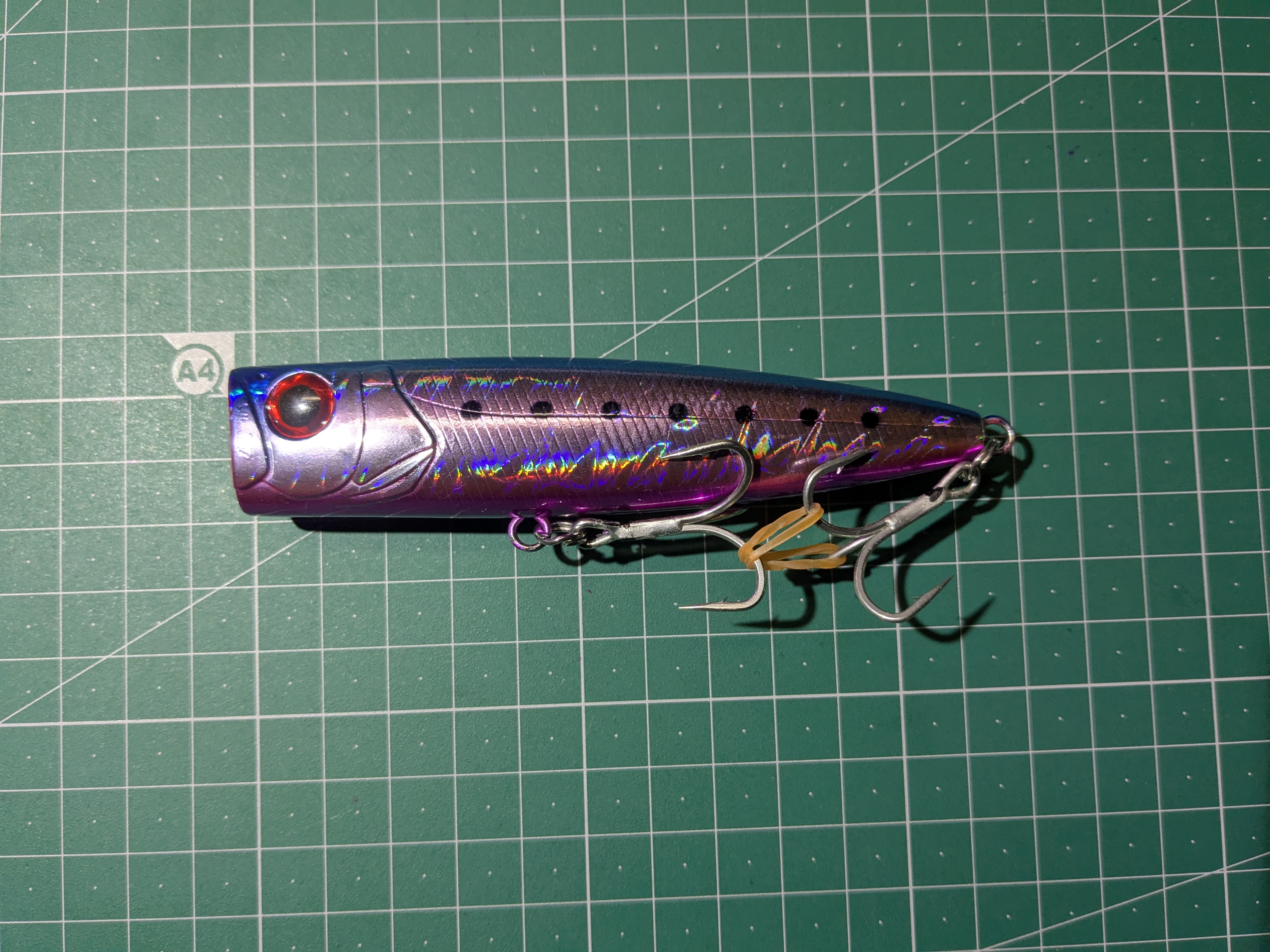 2025年1月11日　浜名湖沖ブリトップ　マジックポップ