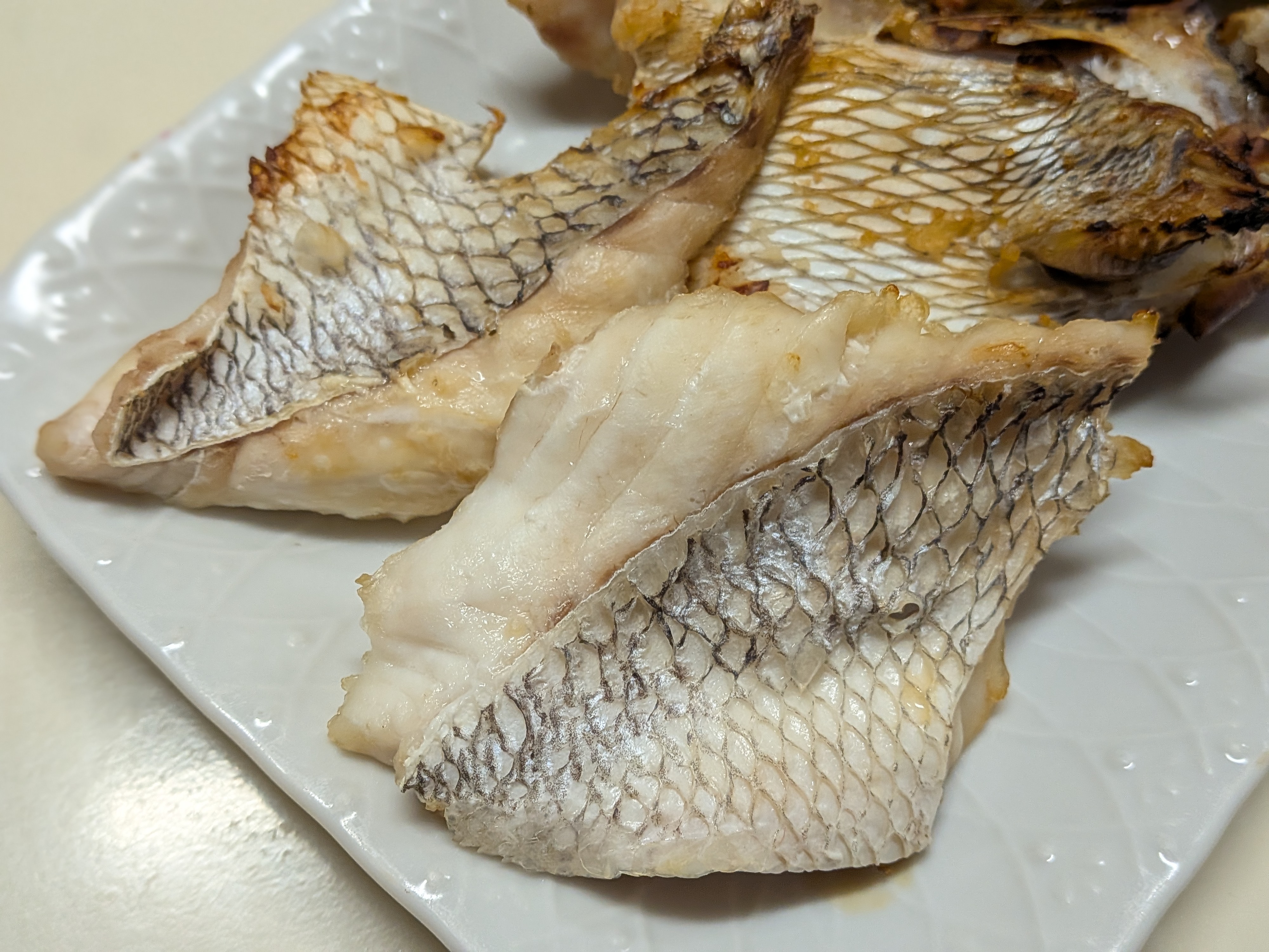 2025年10月18日　焼津タチウオ⇒シロアマダイ⇒カツオリレー　マダイのハラモ焼