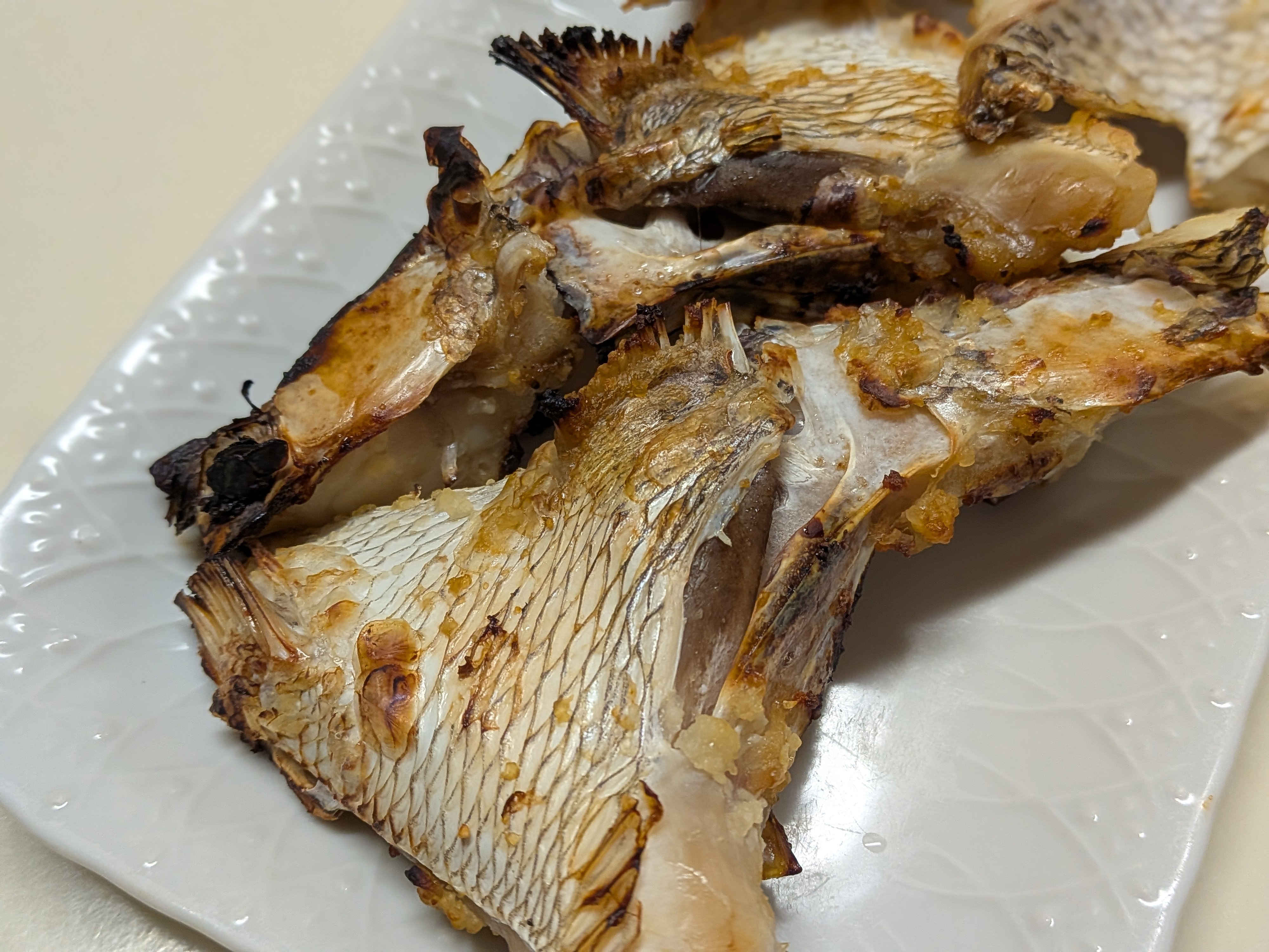 2025年10月18日　焼津タチウオ⇒シロアマダイ⇒カツオリレー　マダイカマの塩こうじ焼