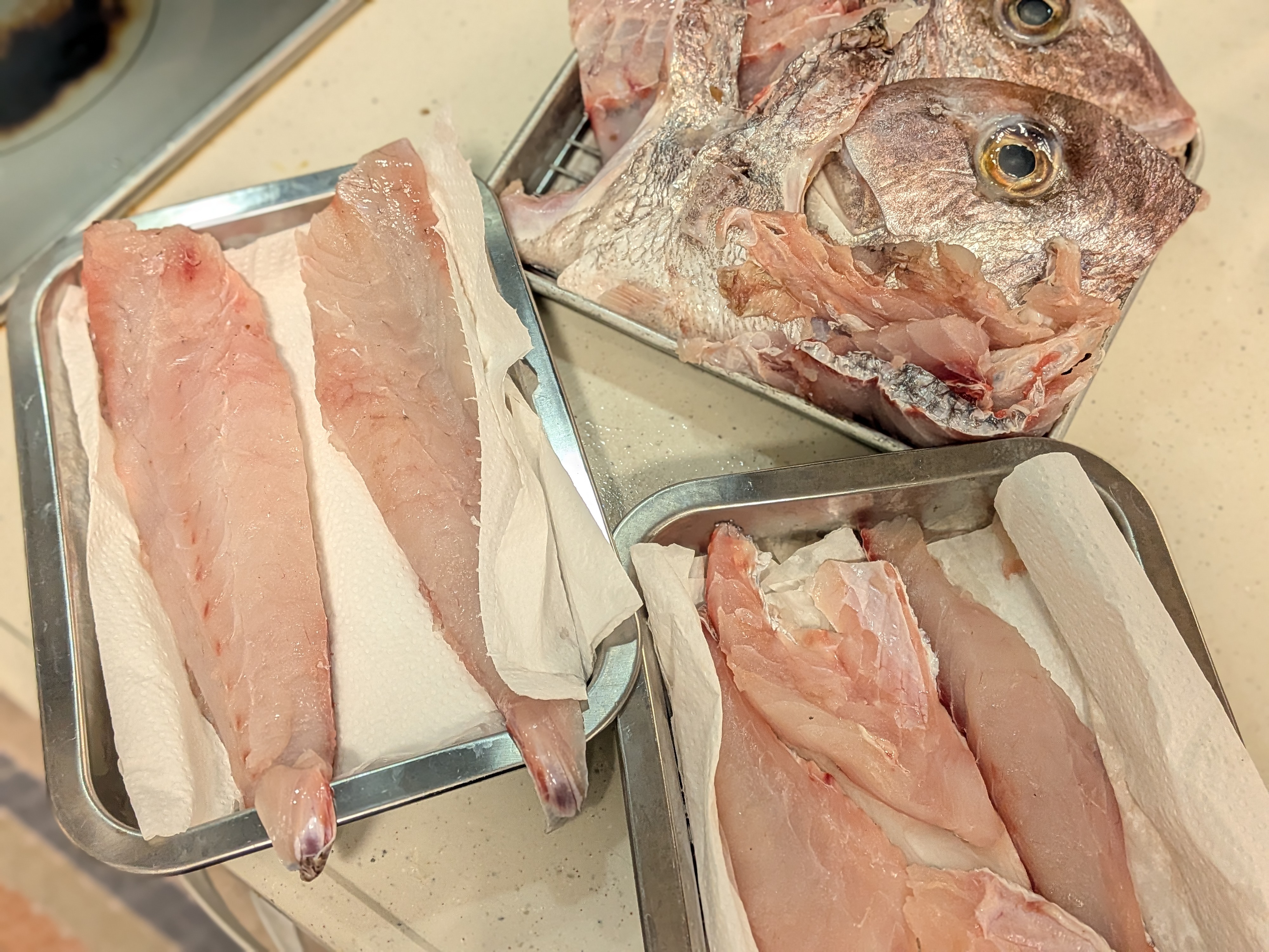 2025年10月18日　焼津タチウオ⇒シロアマダイ⇒カツオリレー　タイしゃぶ準備