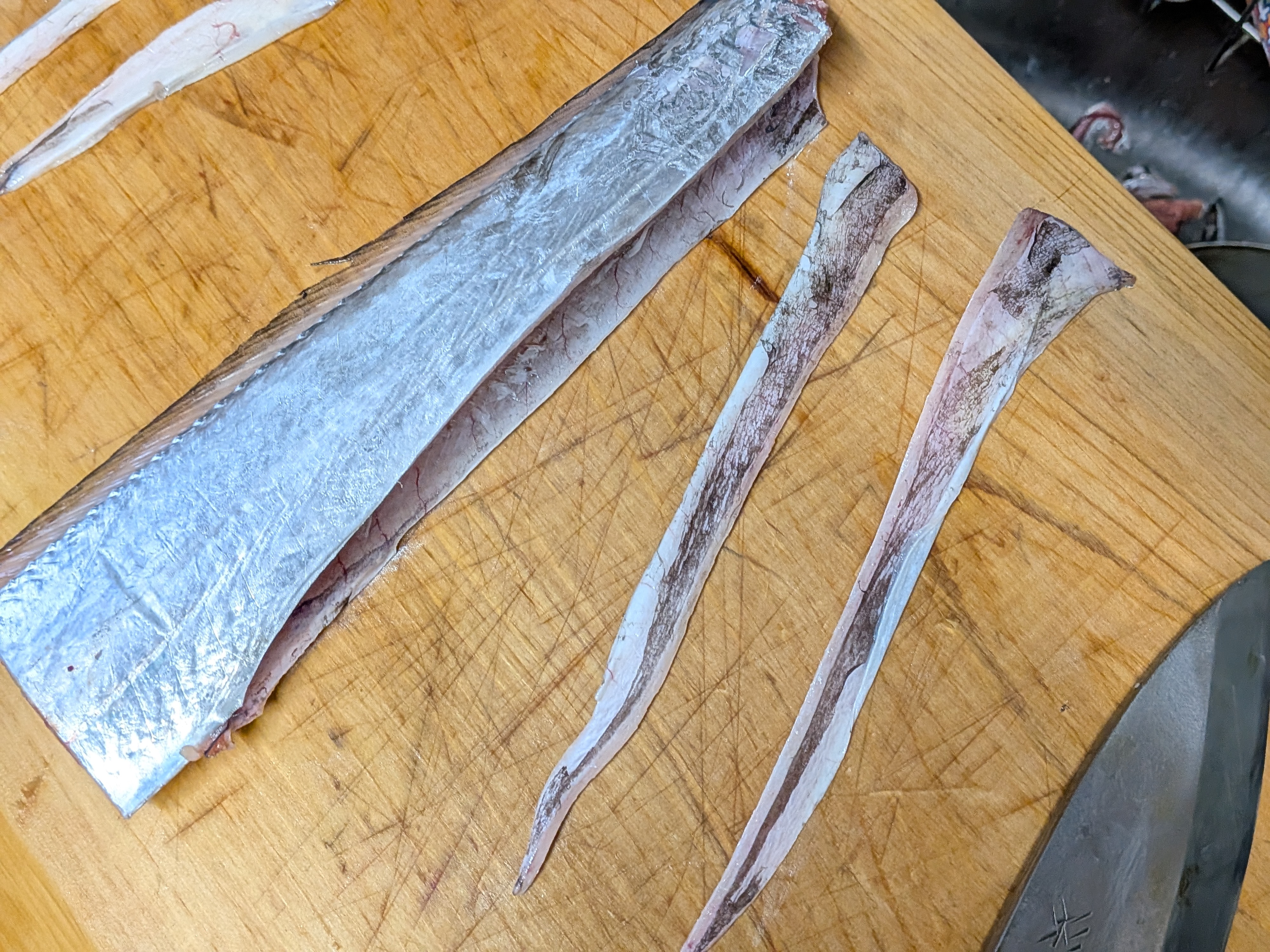 2025年10月18日　焼津タチウオ⇒シロアマダイ⇒カツオリレー　タチウオのハラミ