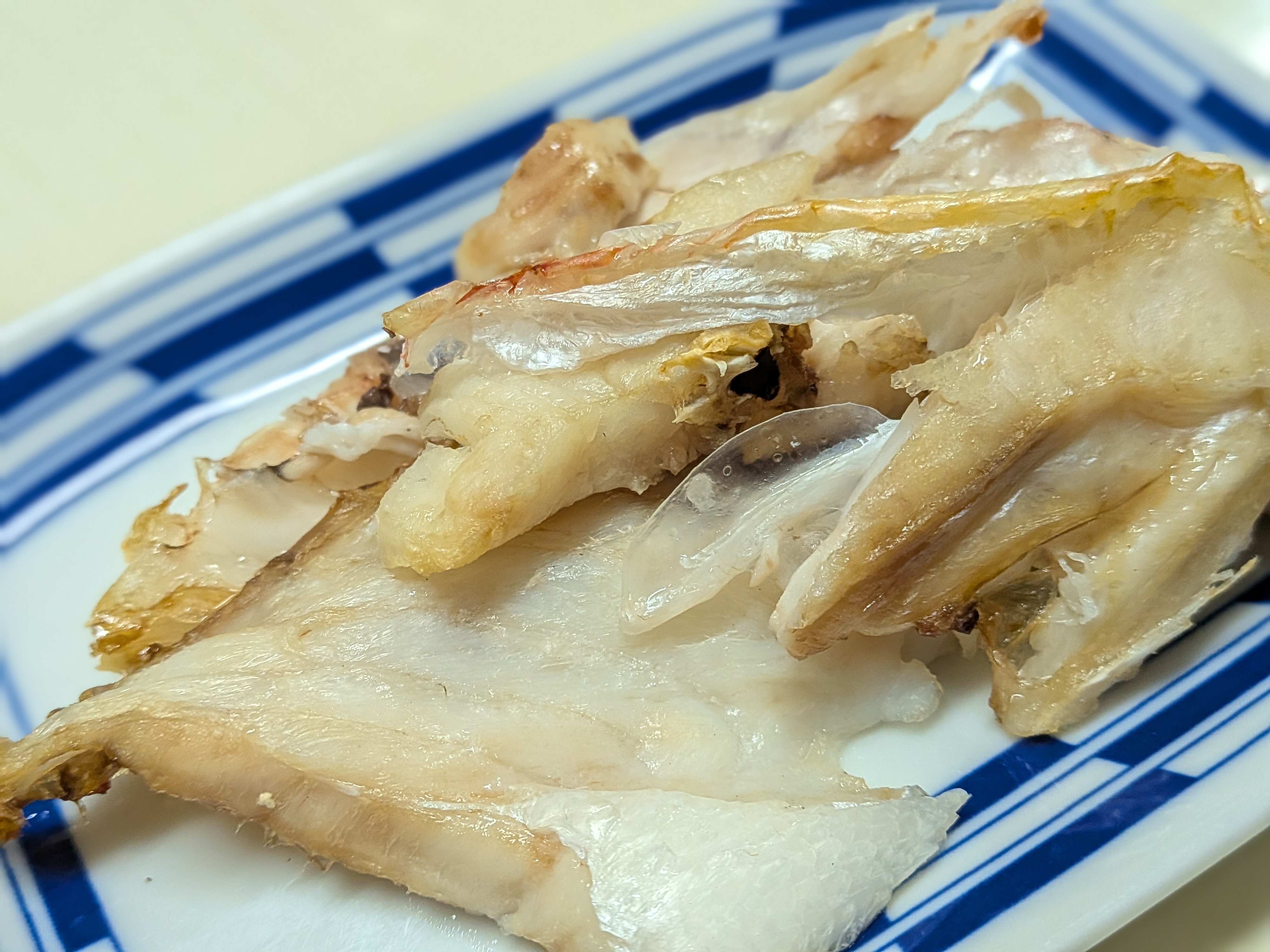 2025年10月18日　焼津タチウオ⇒シロアマダイ⇒カツオリレー　アマダイの塩焼き