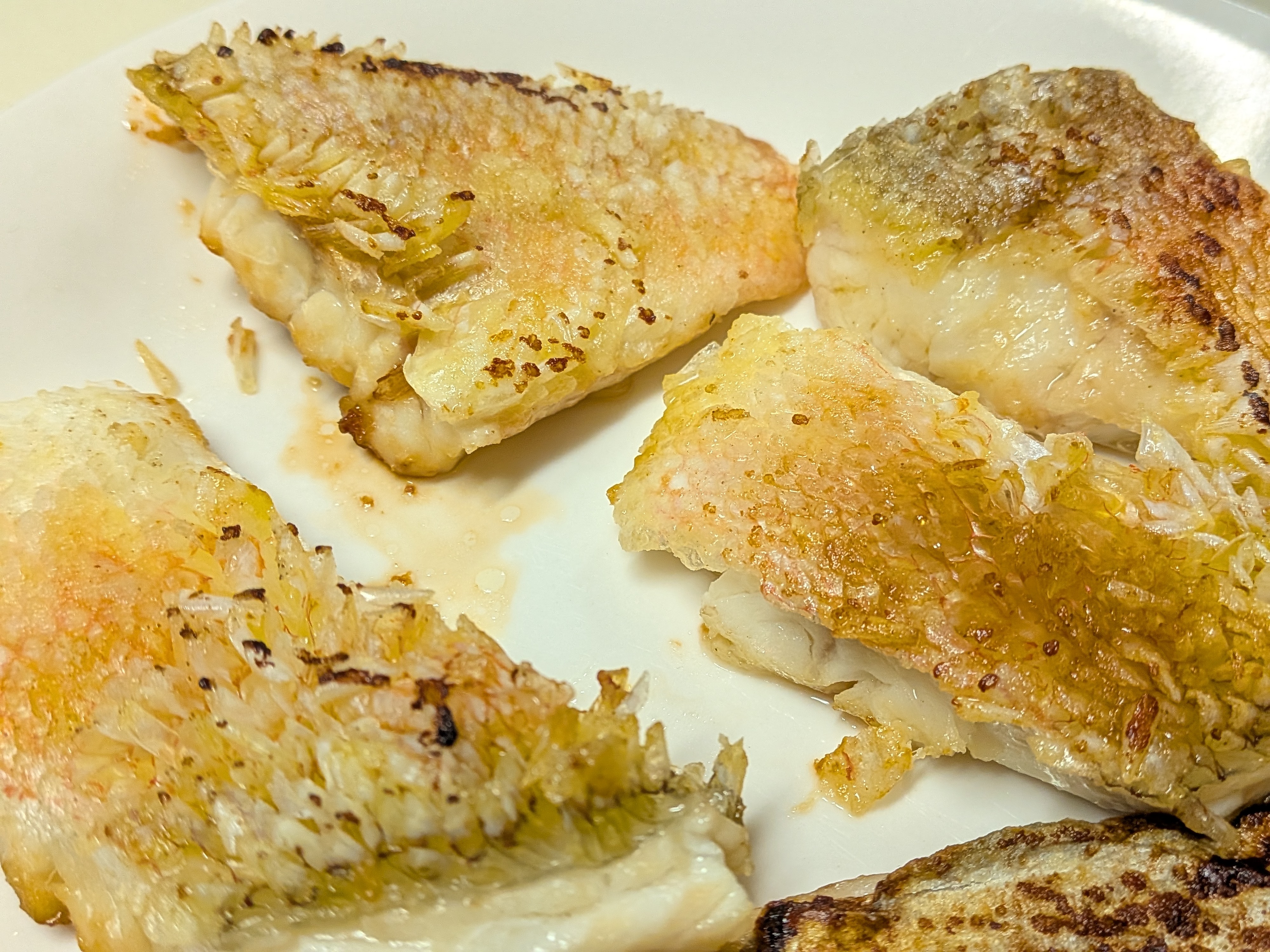 2025年10月18日　焼津タチウオ⇒シロアマダイ⇒カツオリレー　アマダイの松笠焼