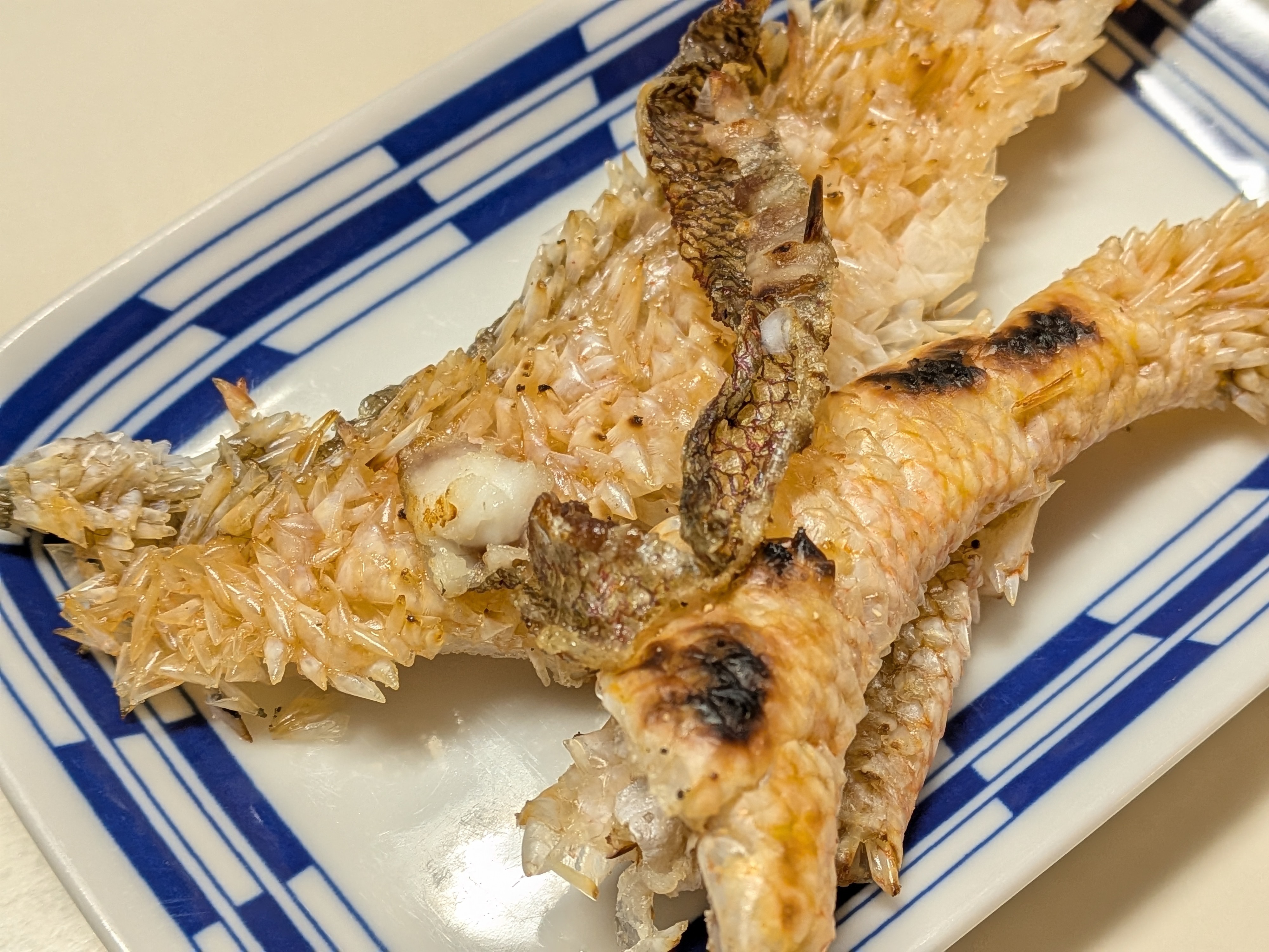 2025年10月18日　焼津タチウオ⇒シロアマダイ⇒カツオリレー　シロアマダイの皮の焼き物