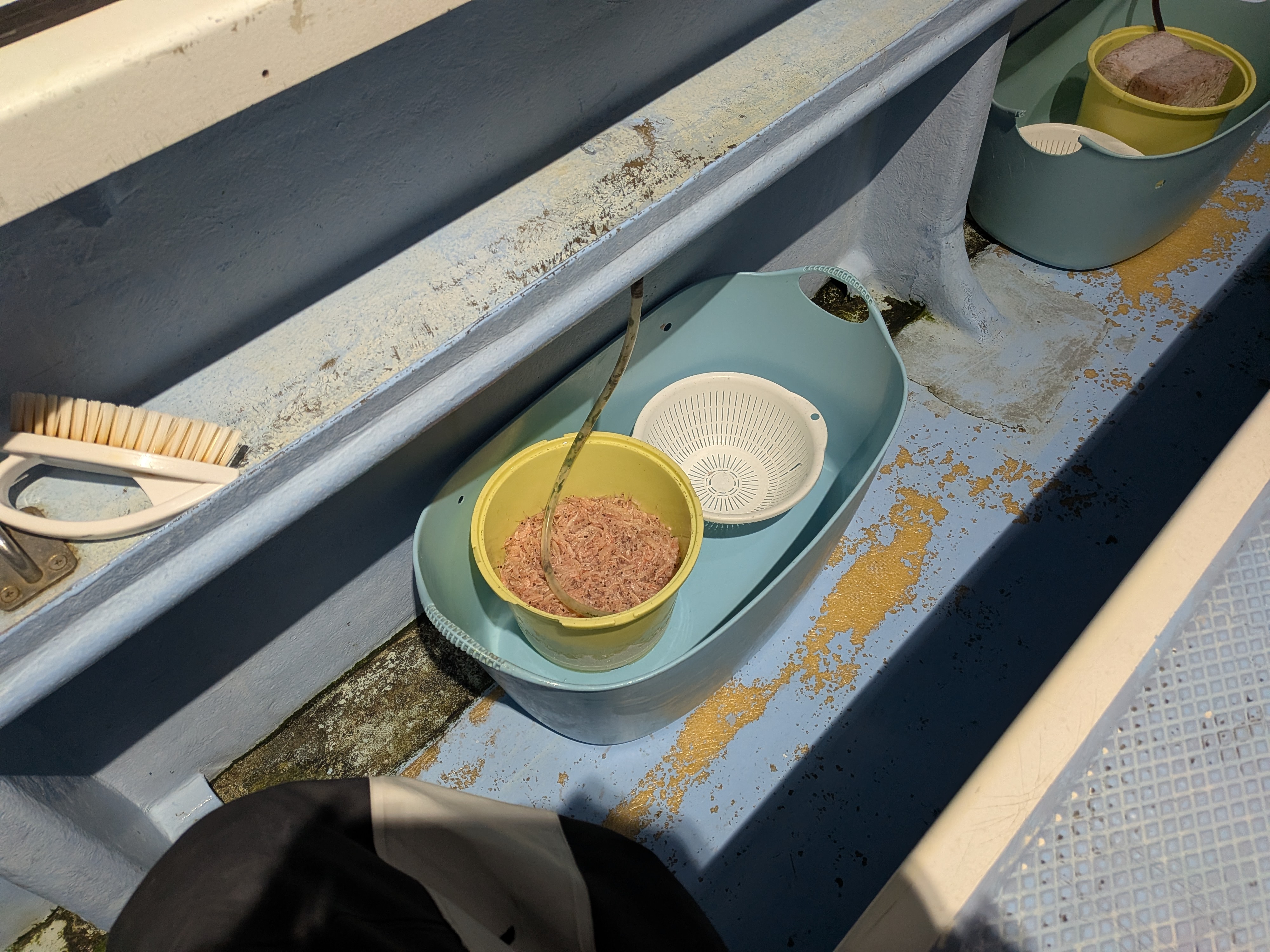 2025年11月3日　平塚沖　コマセキハダ
準備されたコマセ