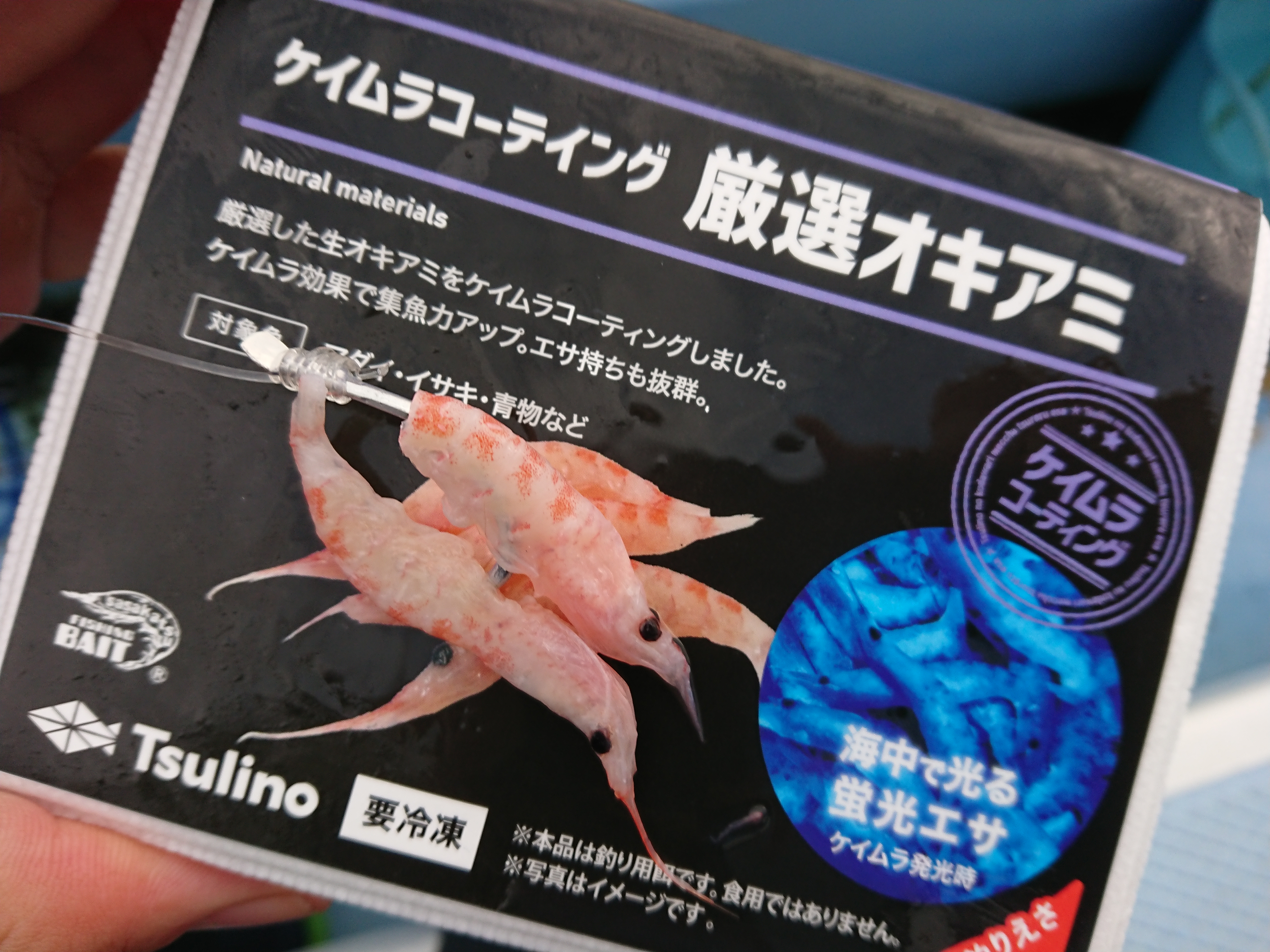 2025年11月3日　平塚沖　コマセキハダ
最初に使った付けエサ