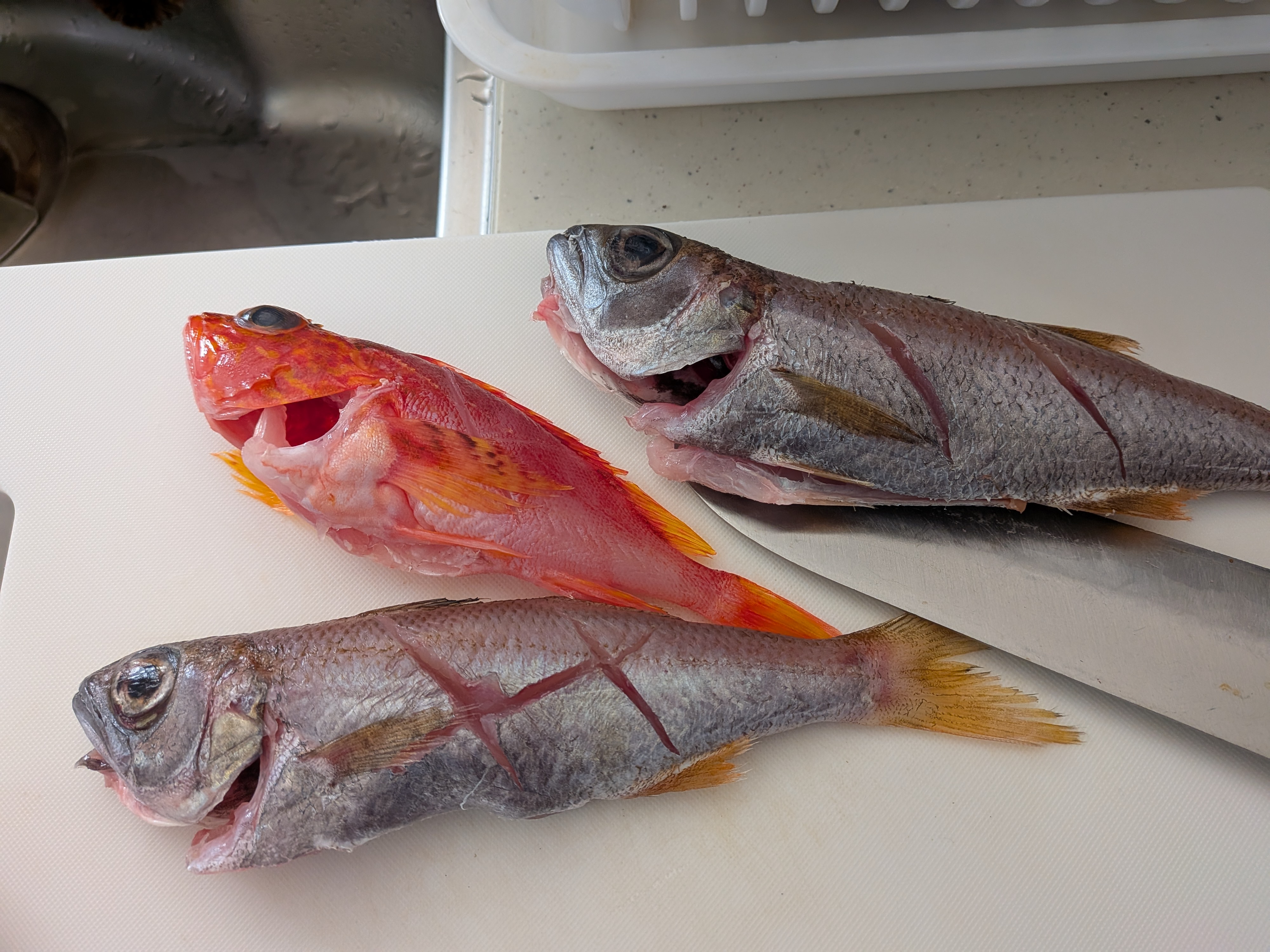 2025年11月29日　煮付け下ごしらえ