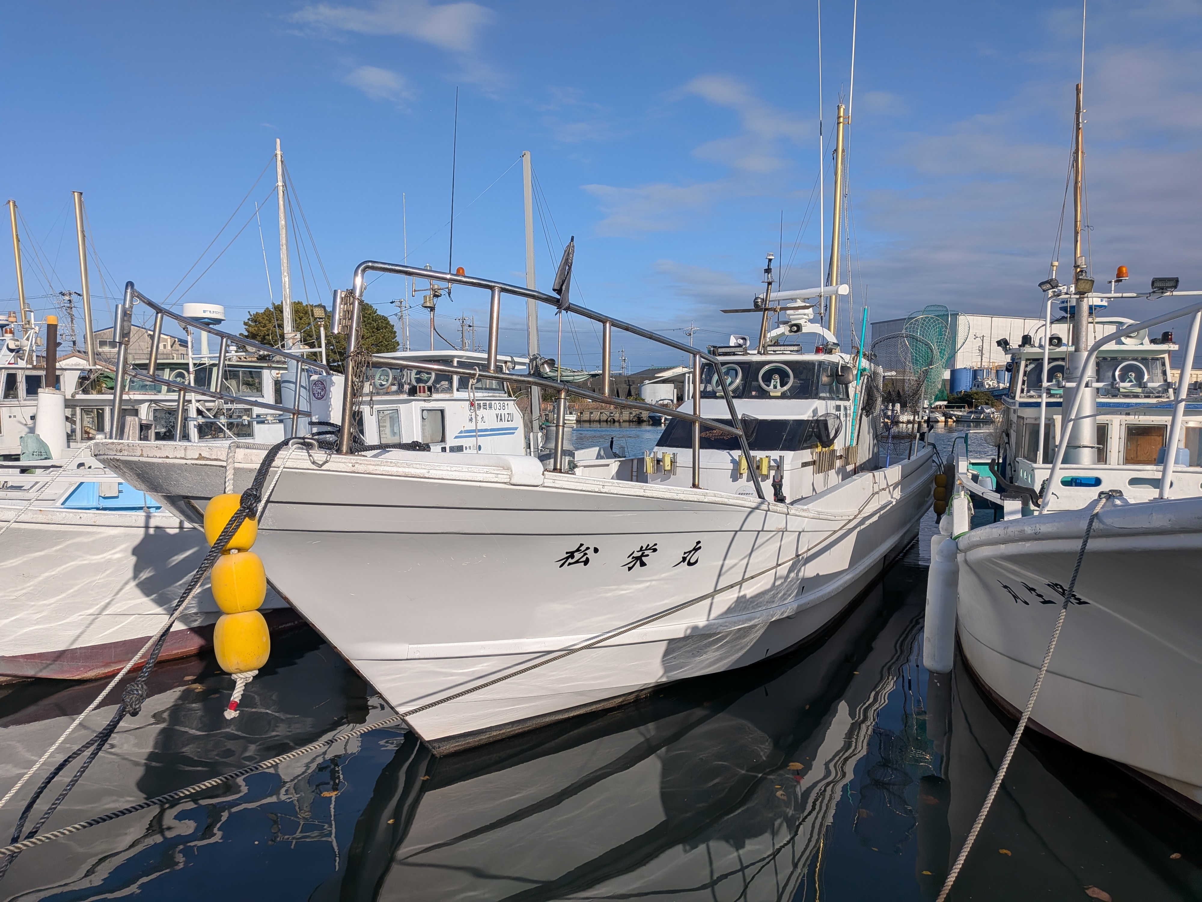 2025年12月13日　焼津小川港松栄丸の夜アジショート便