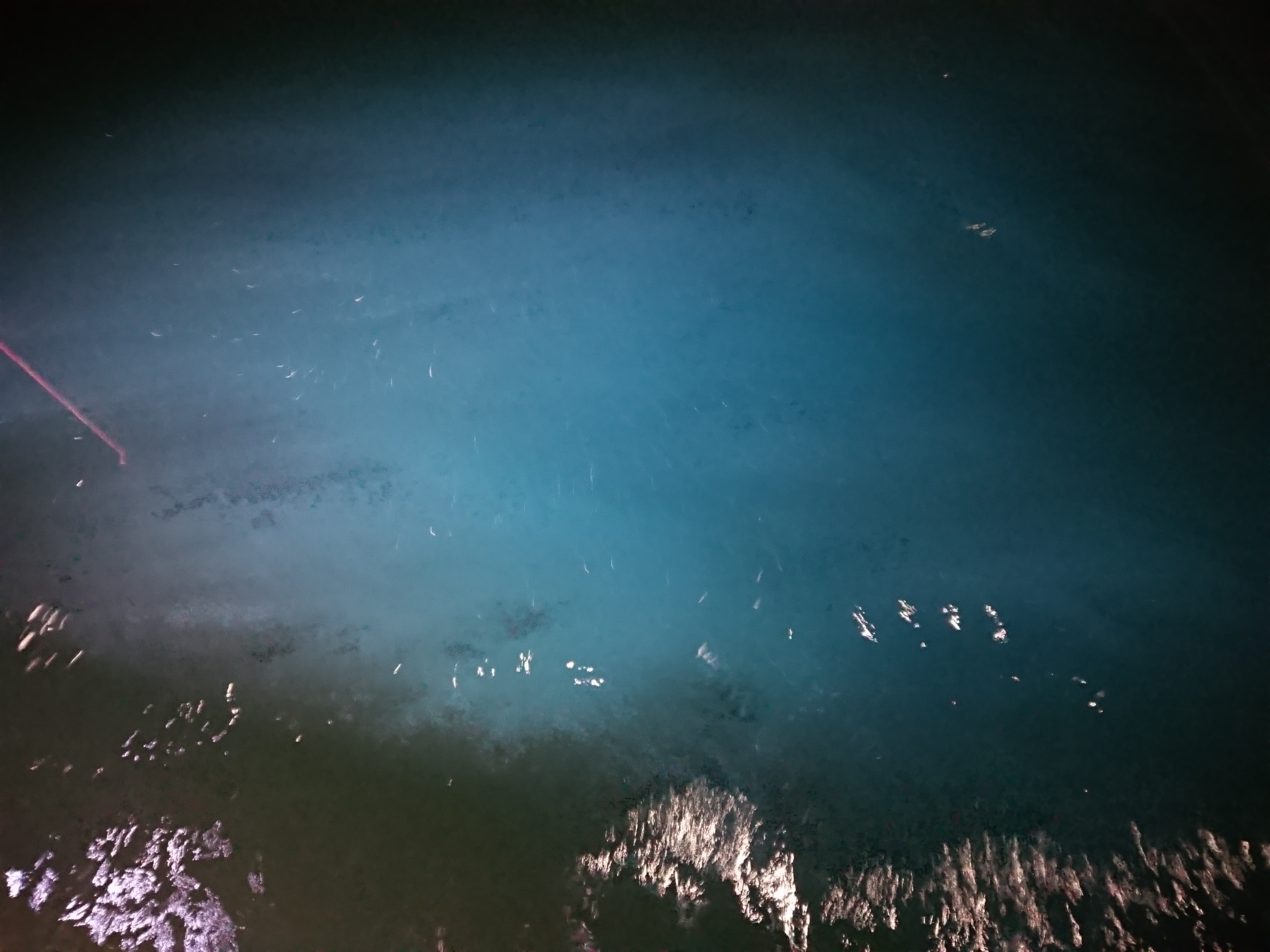 2025年12月13日　当日の水の色