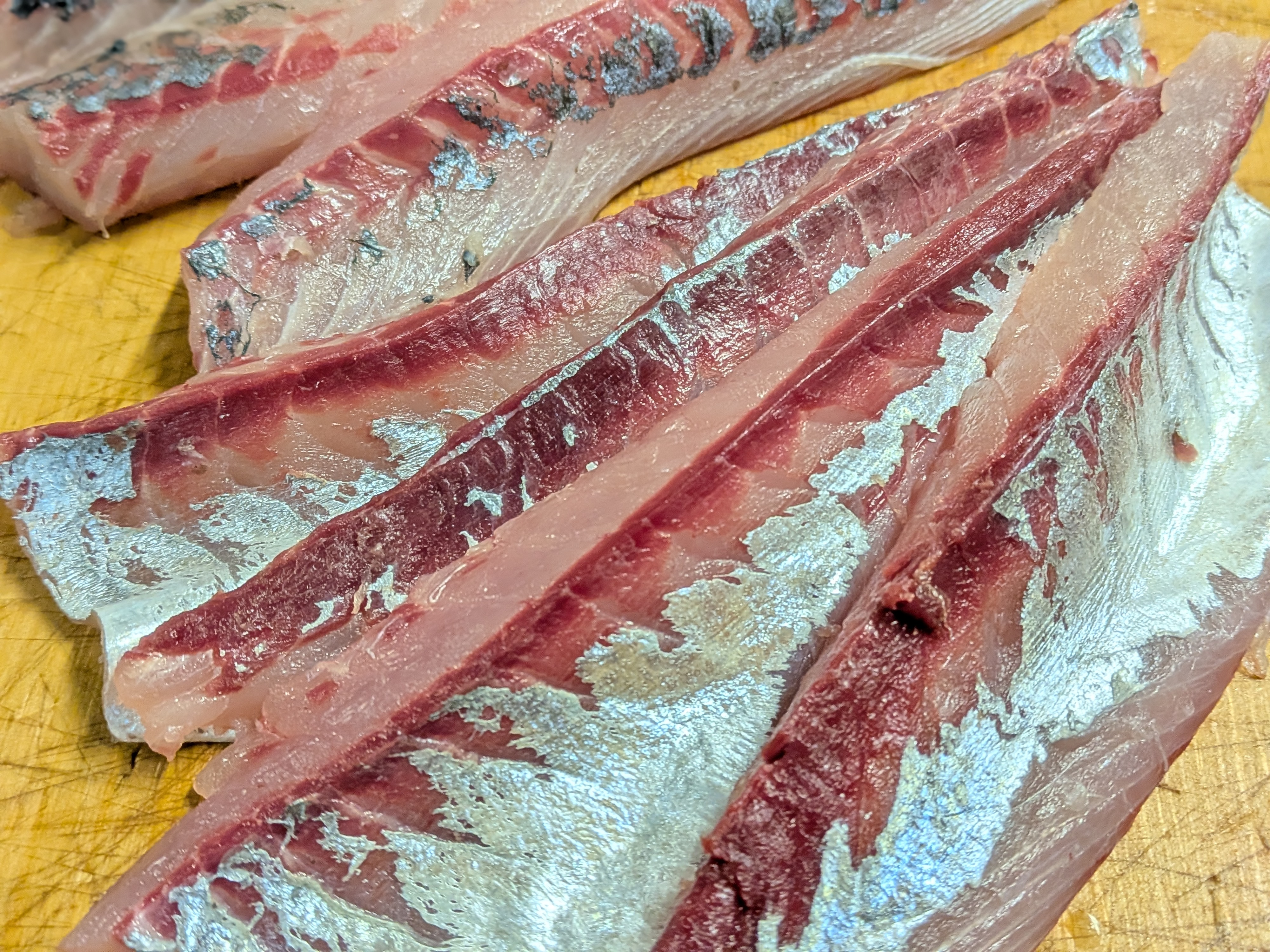 2025年12月13日　サク取りできる程大きいアジ