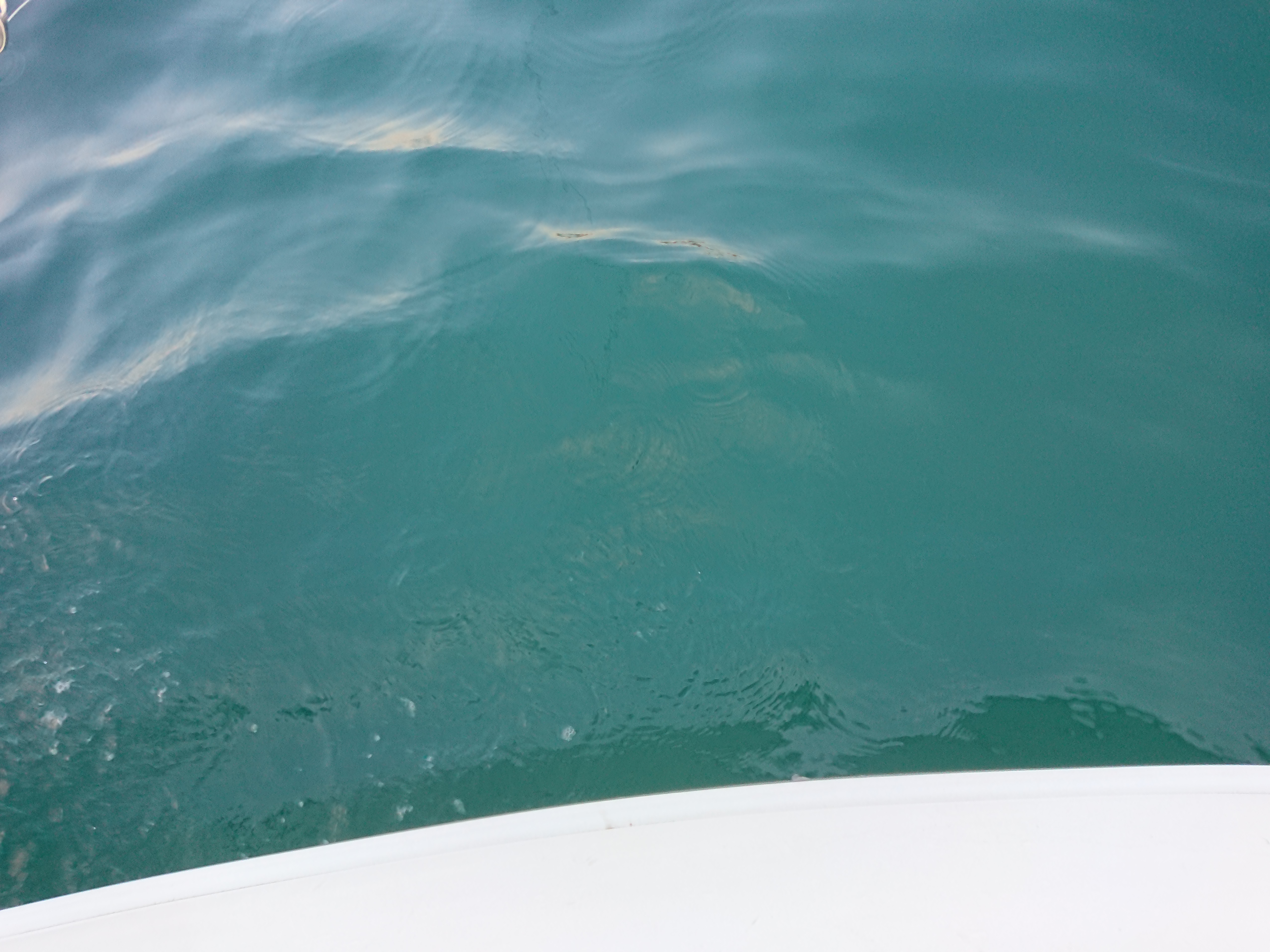 2026年2月15日 当日の水色