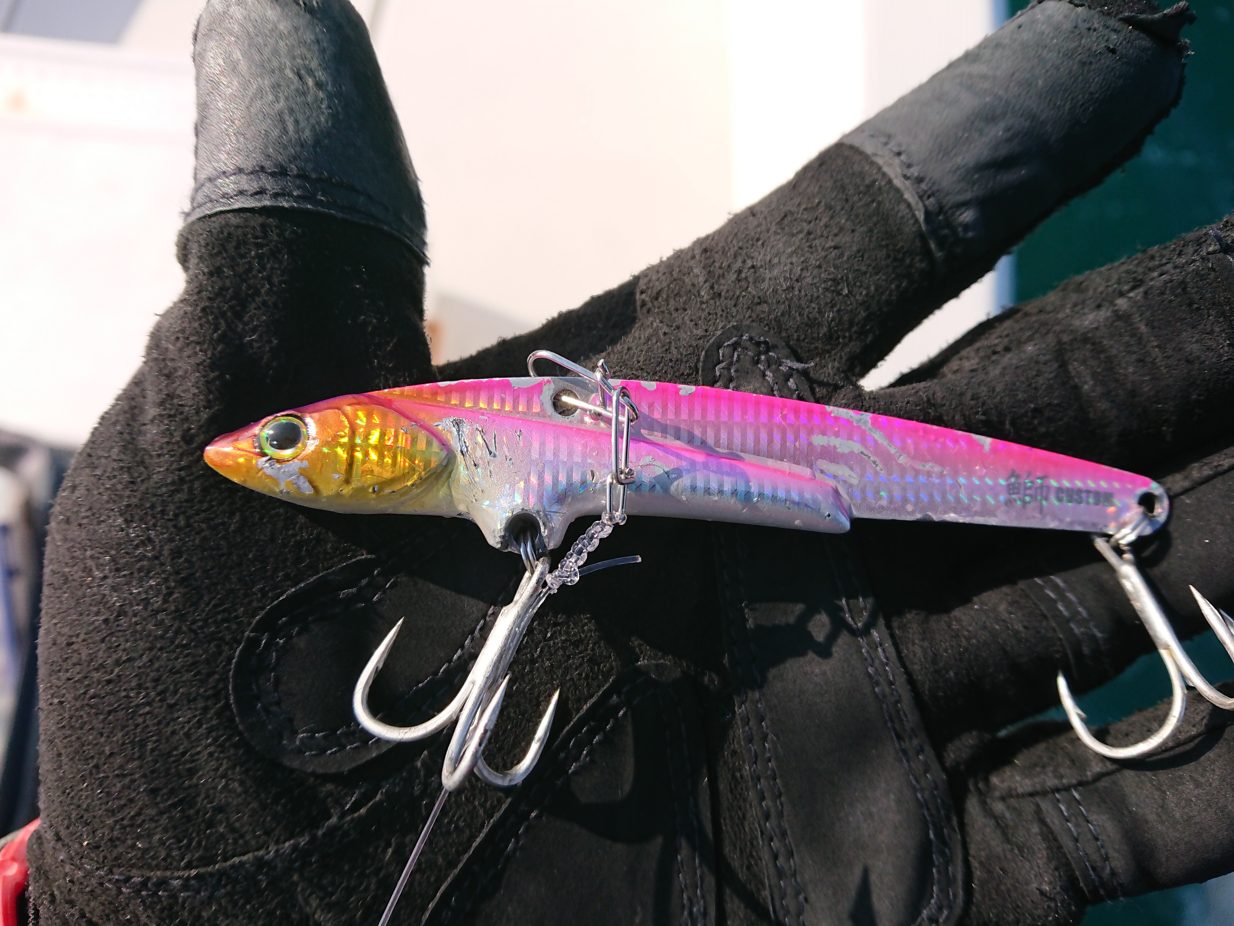 2026年2月15日 鰤カスタムで様子見