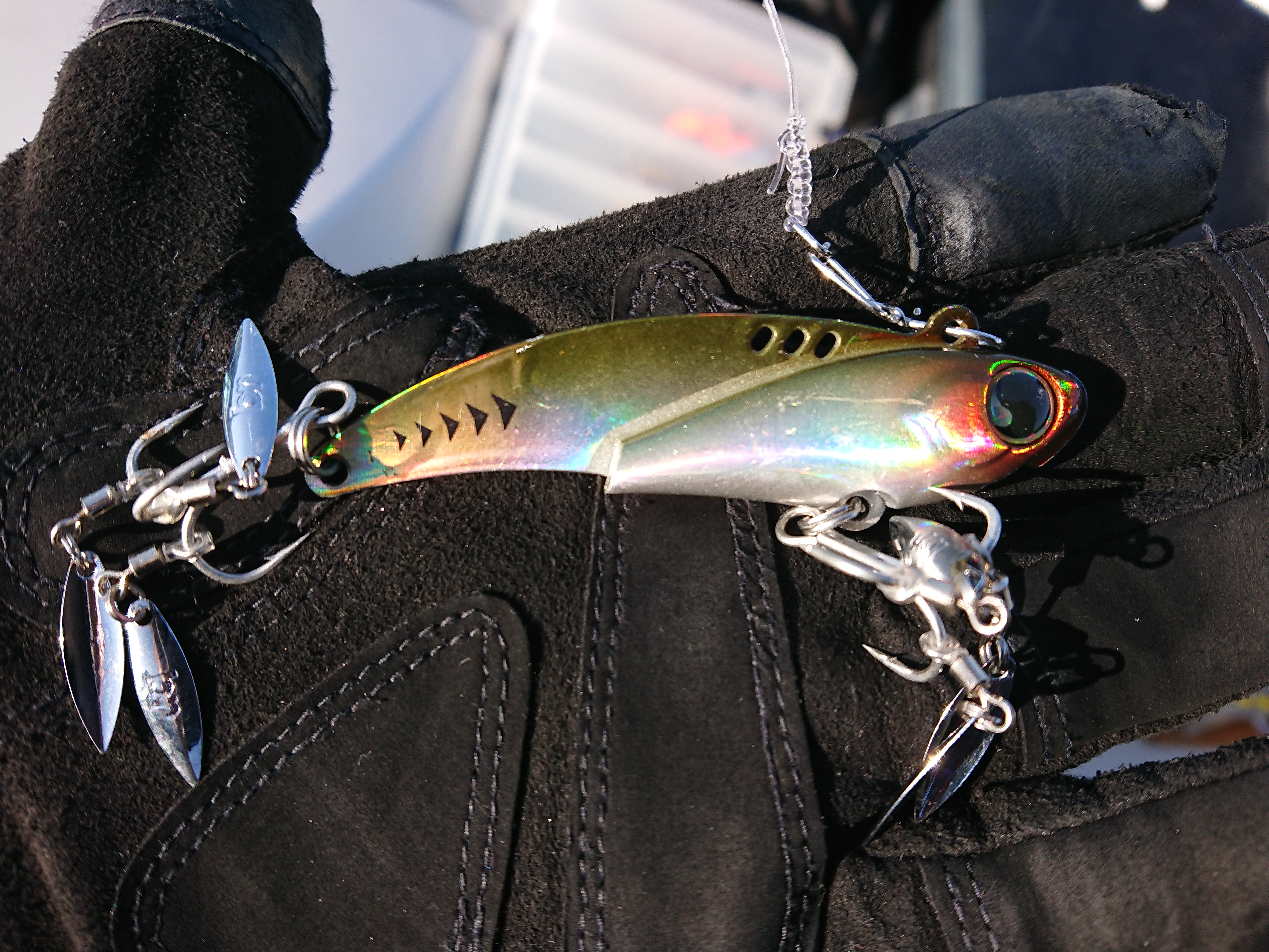 2026年2月15日 キャシーマージ―でも様子見