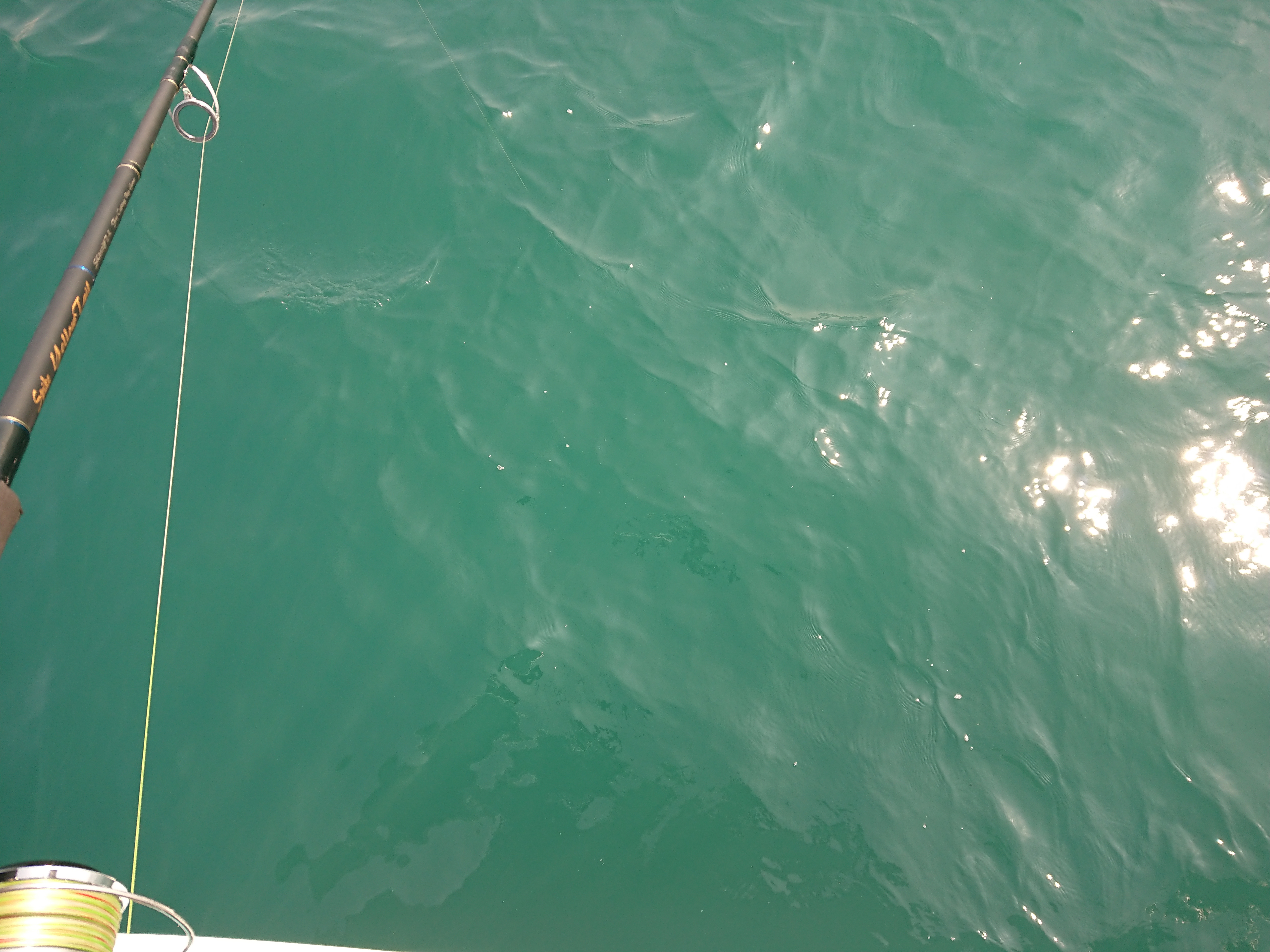 2026年3月28日　海水の色はいつも通りの緑青