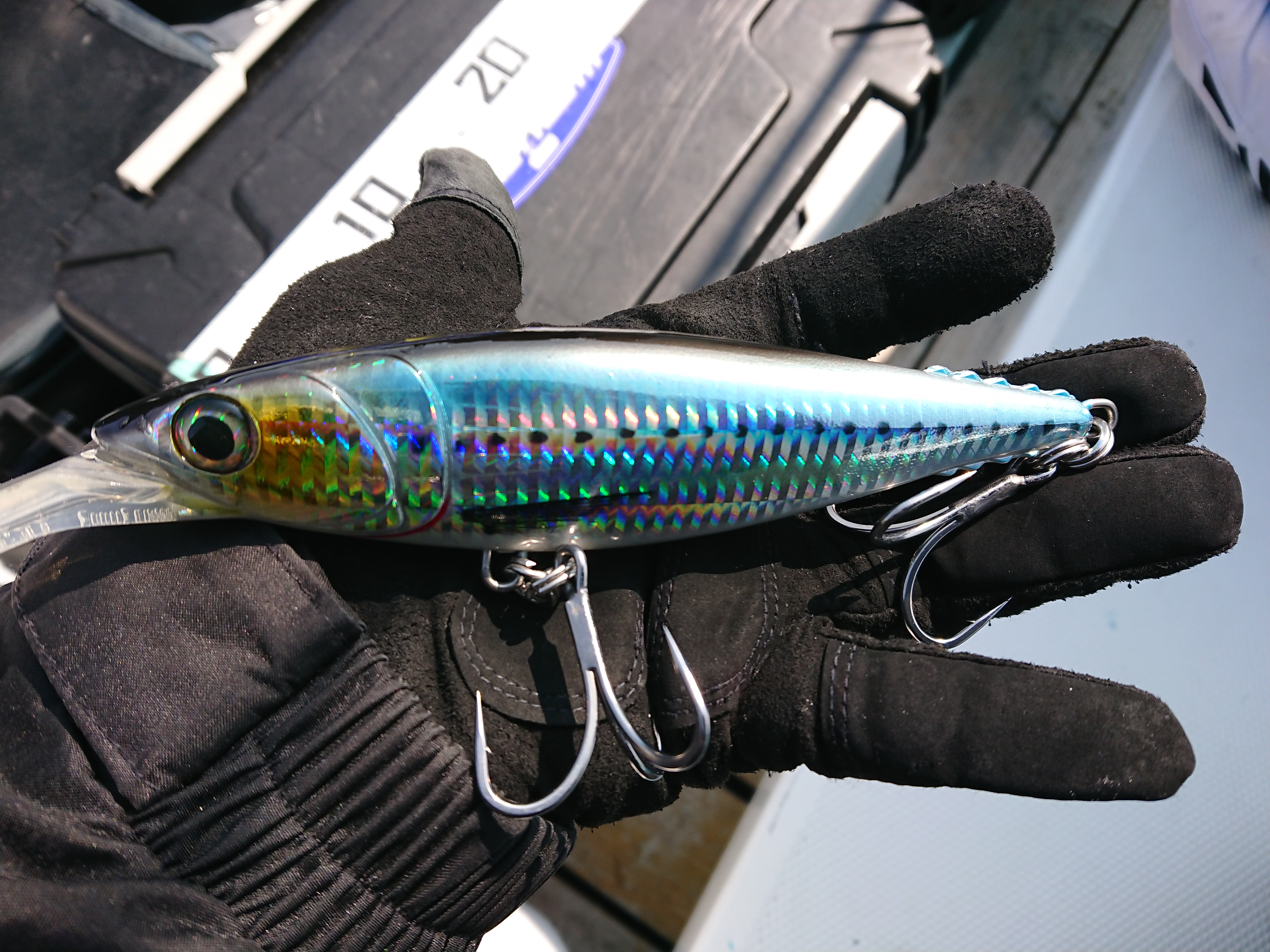 2026年3月28日　サベージギアの巨大ミノーも試運転