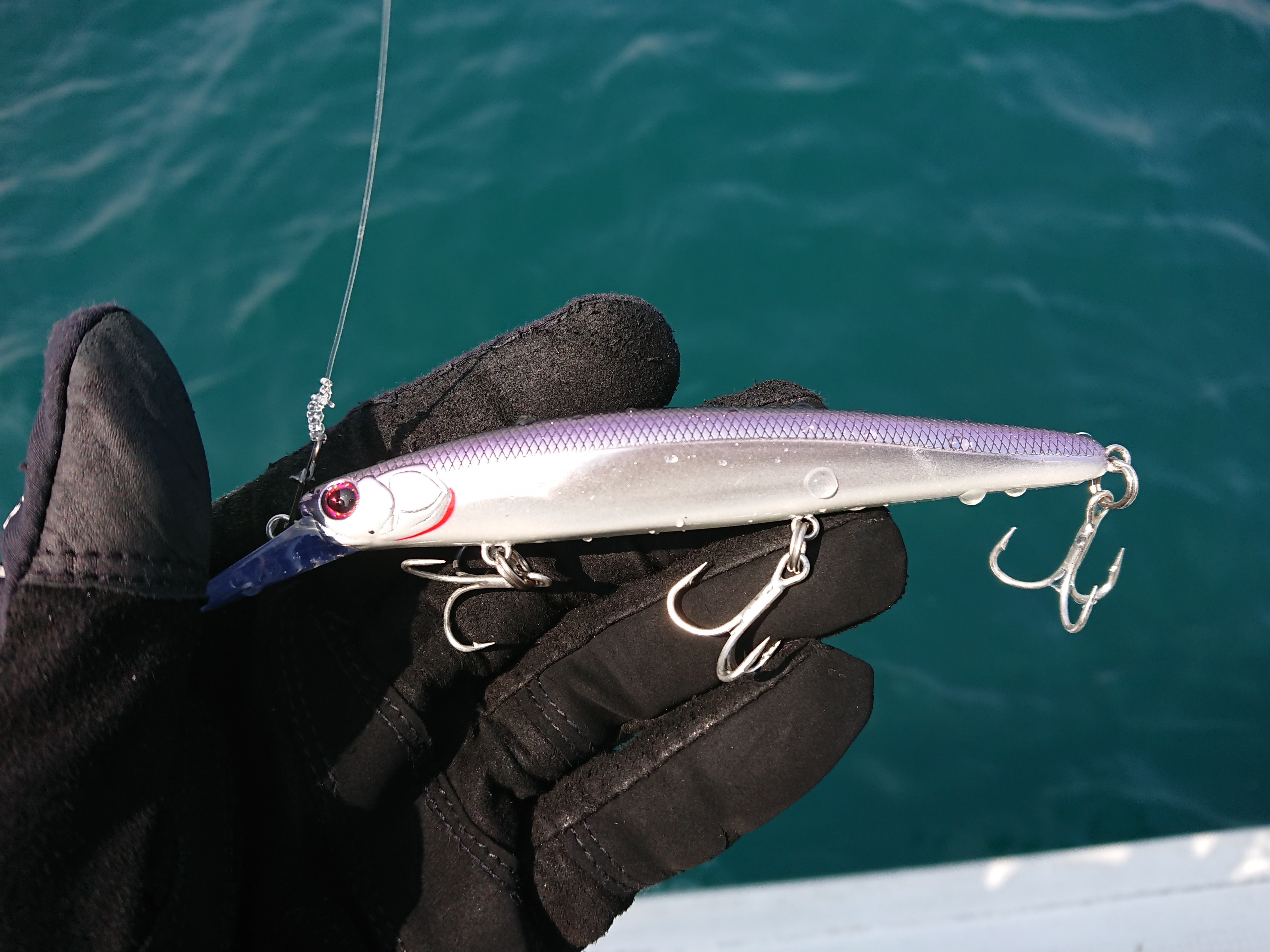 2026年3月28日　鳥打ちはバックウォッシュビヨンド