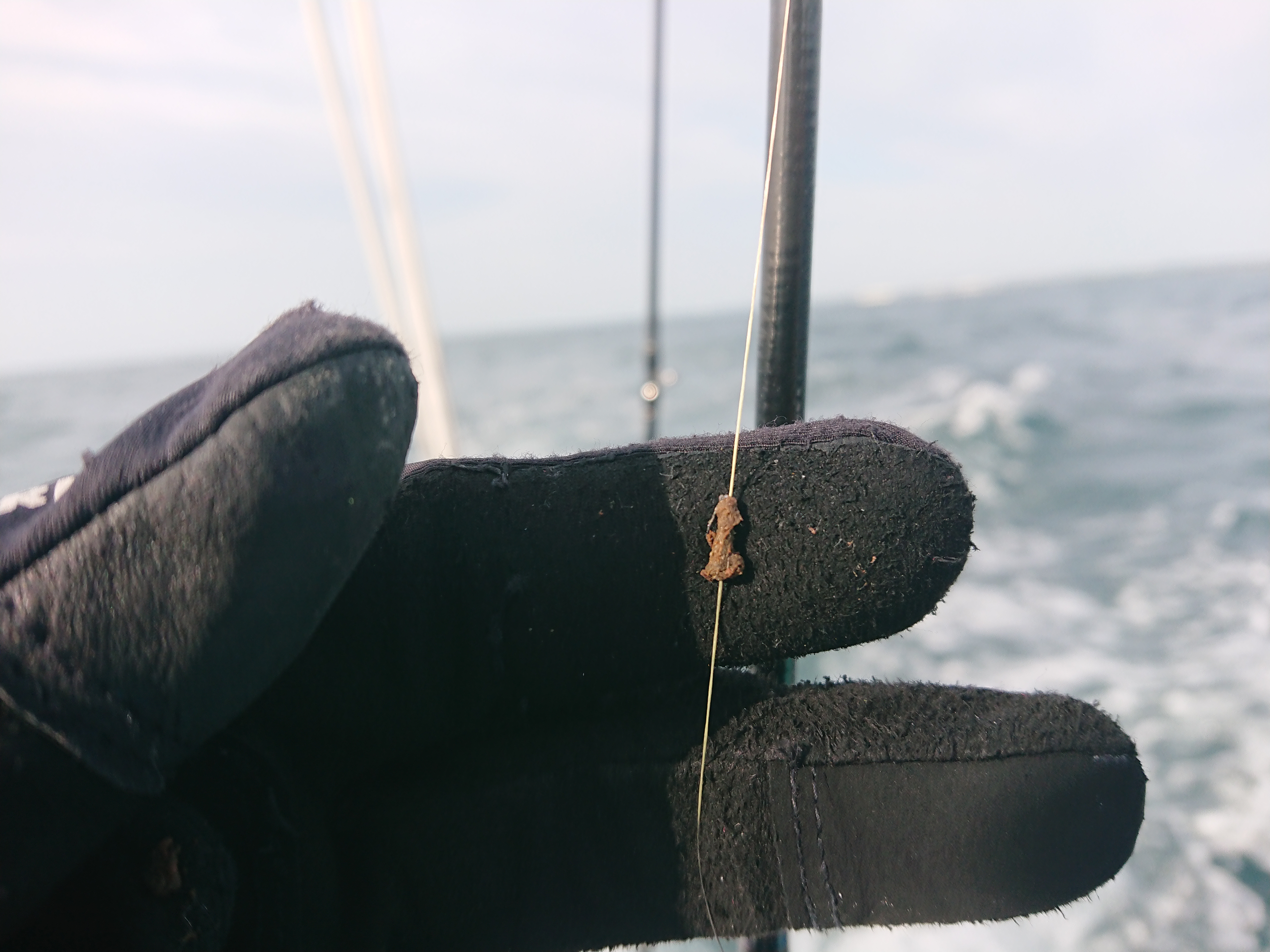 26年4月12日　焼津沖で絡みつくデミ（ゴミ）