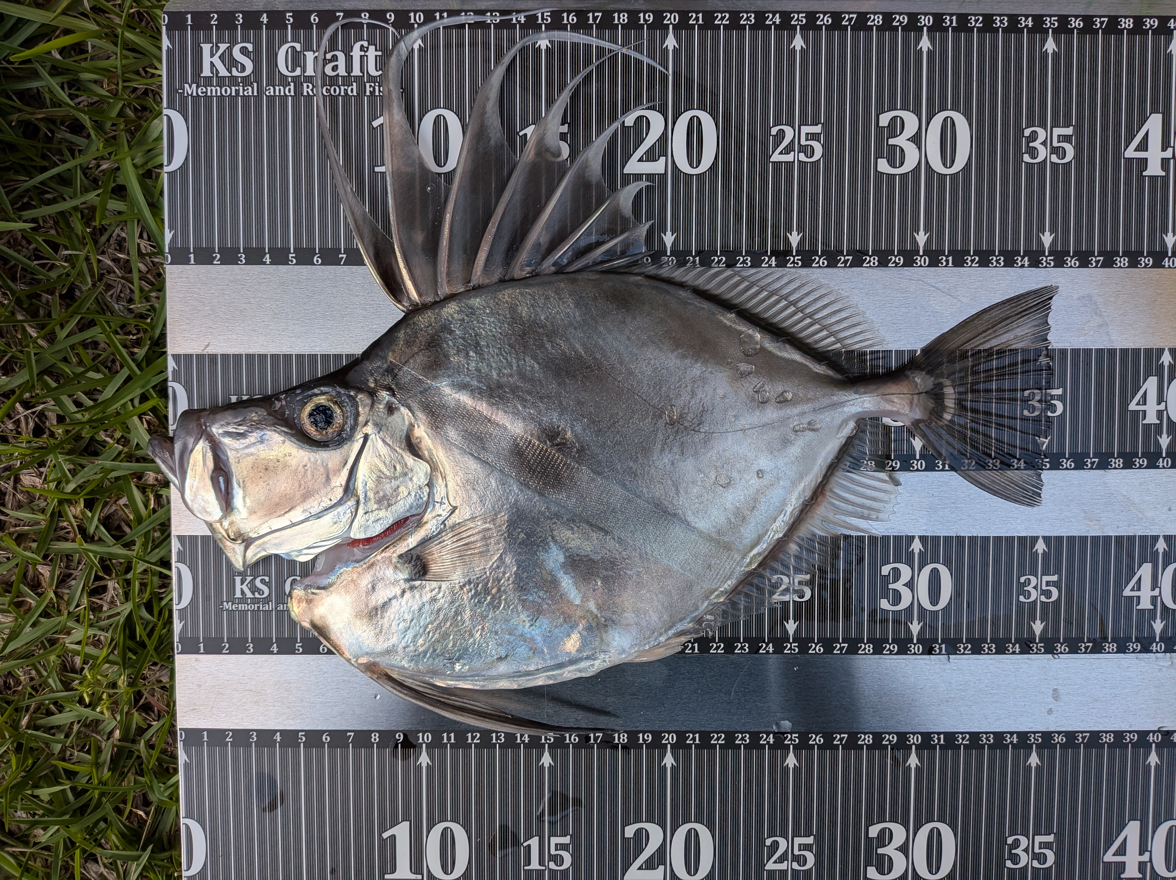 26年4月12日　釣果測定