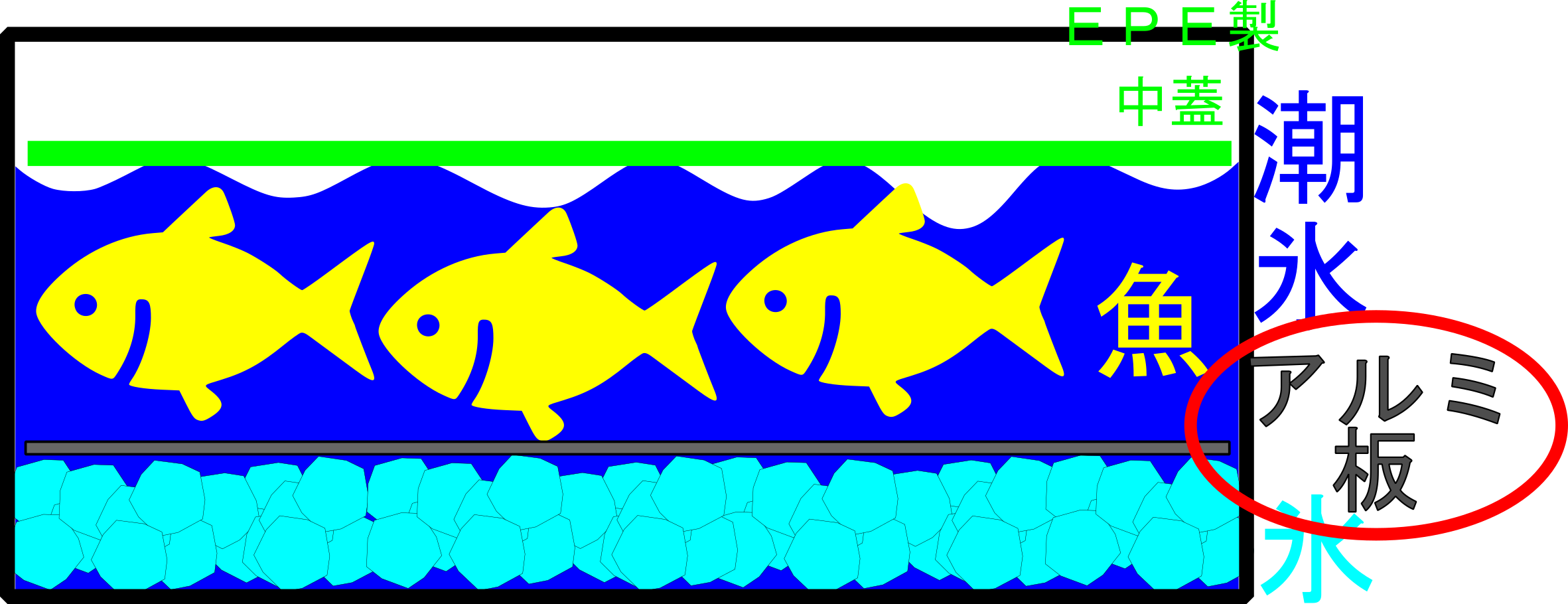 25年2月22日　クーラーボックス内の図解