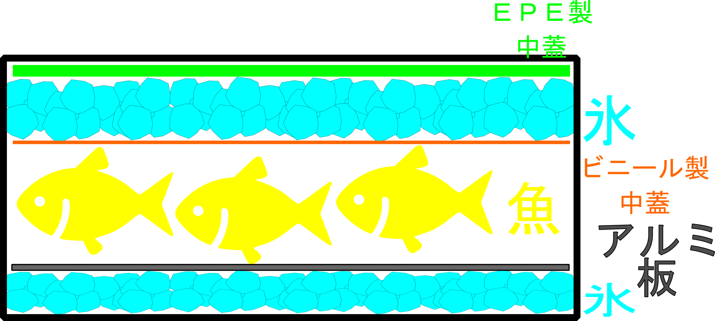 25年2月22日　釣り終了後のクーラーボックス内図解