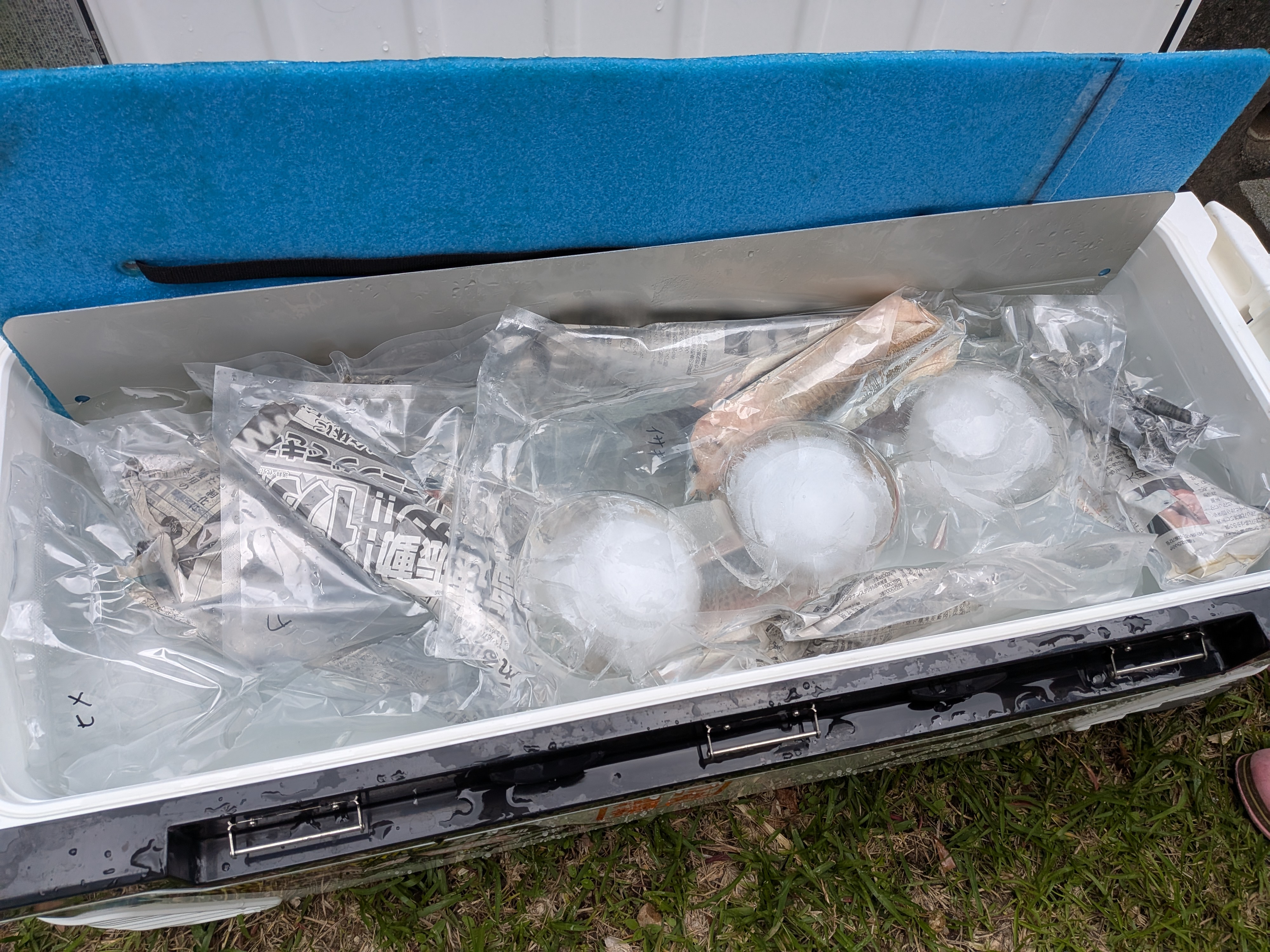 26年5月6日　金州釣果の氷温熟成