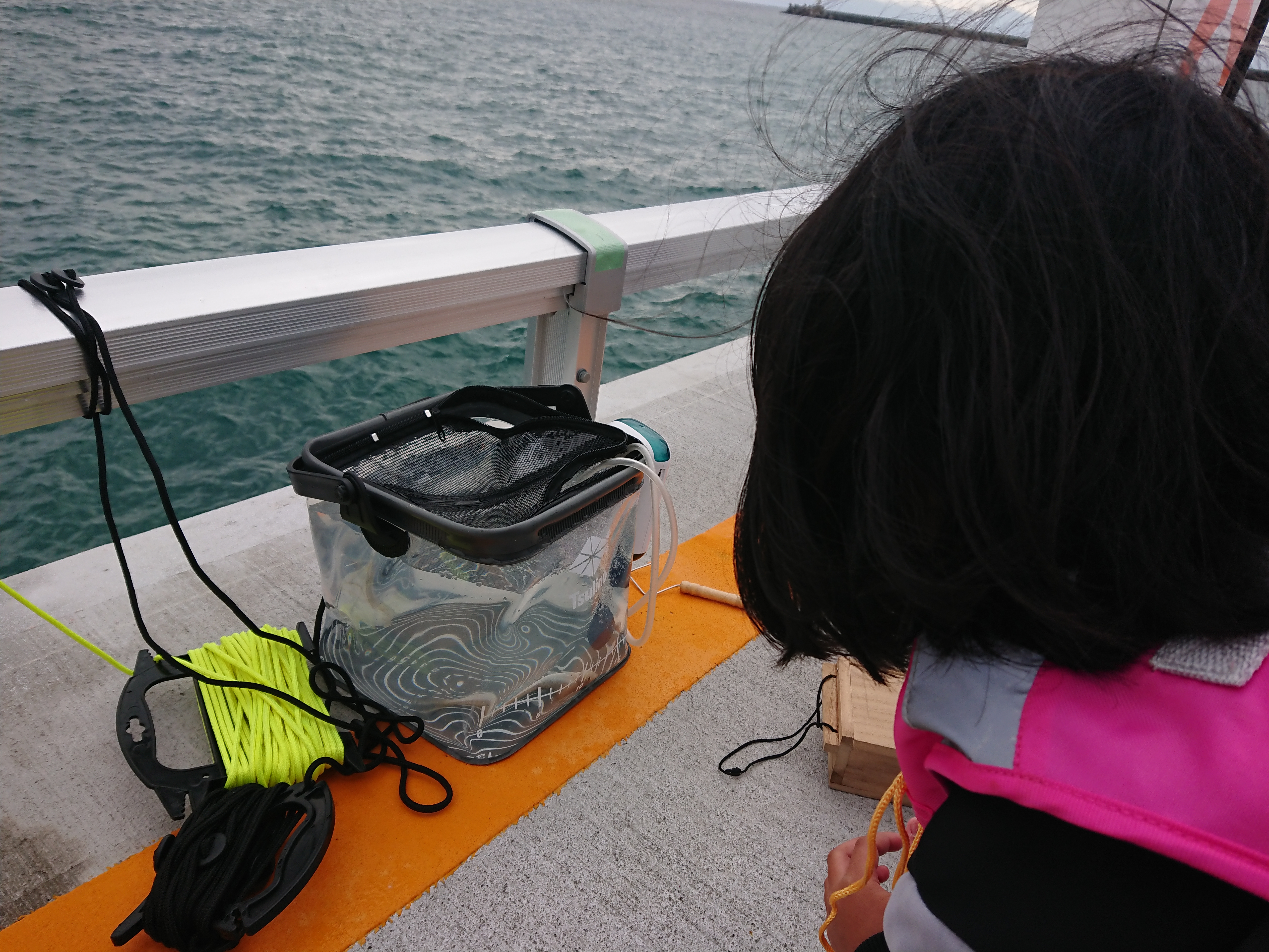 清水港海づり公園 シースルーバケツは子連れ必需品
